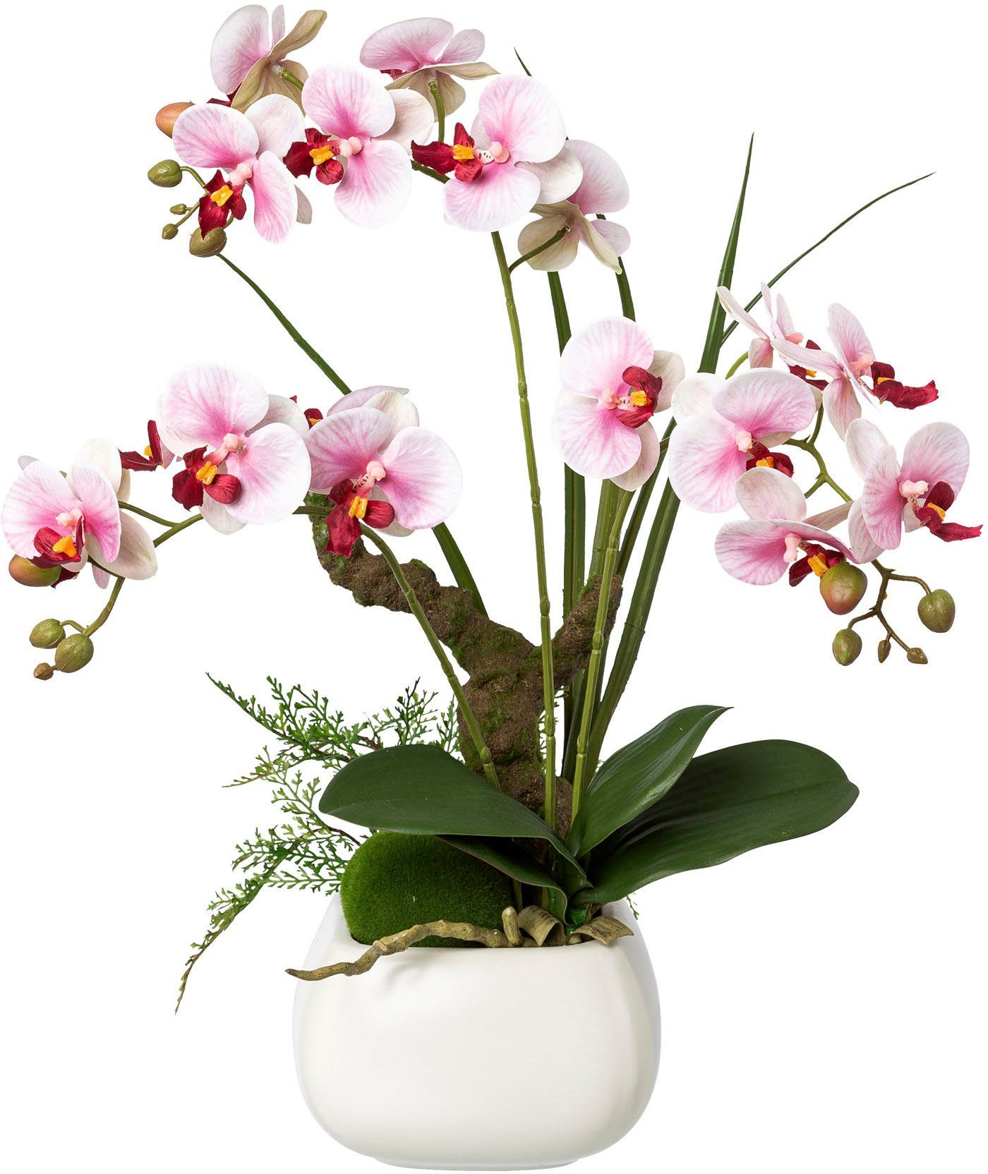 Kunstorchidee Deko-Orchidee Phalaenopsis im Keramiktopf Orchidee Phalaenopsis, Creativ green, Höhe 46 cm