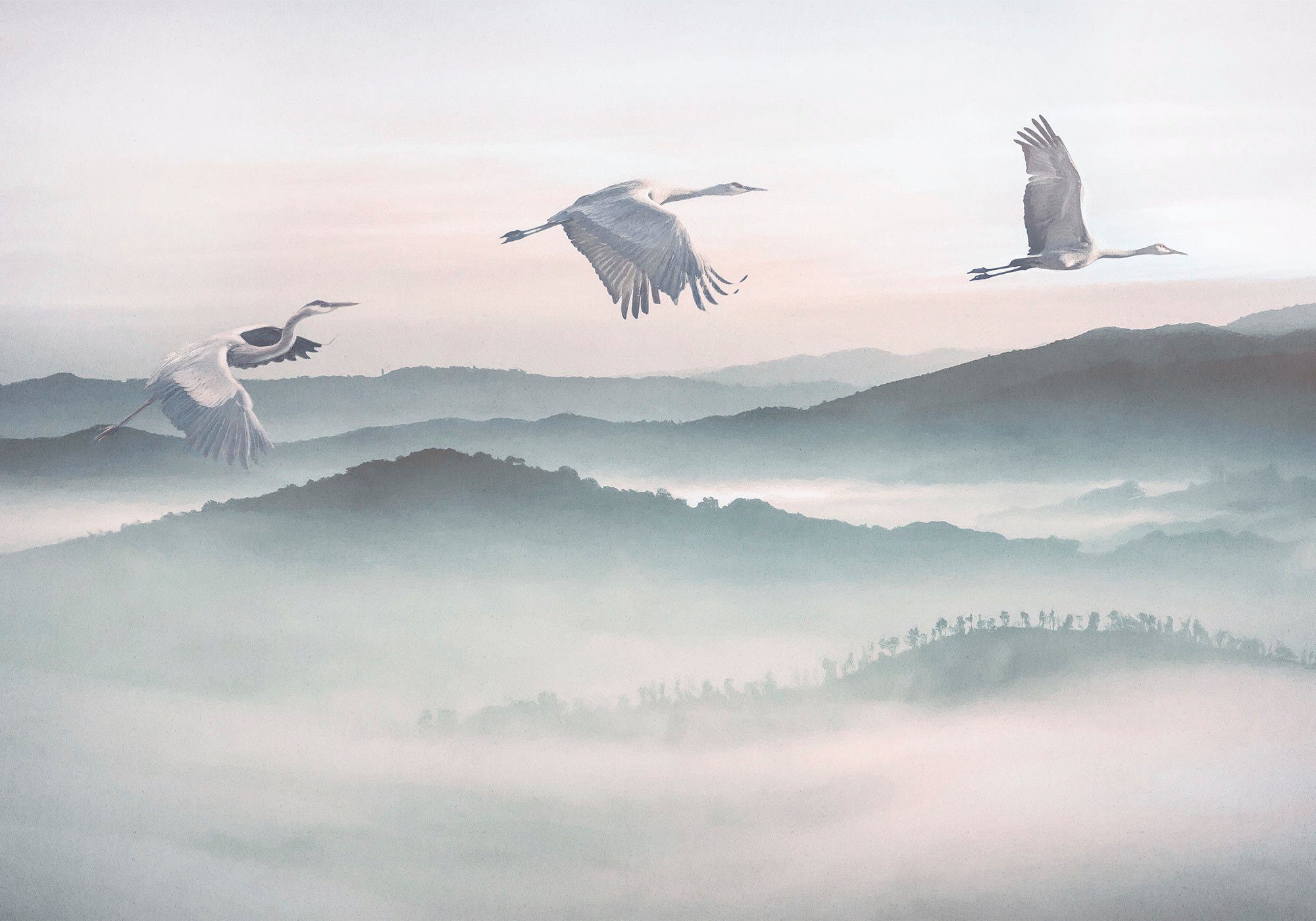Komar Vliestapete Digitaldruck Vlies - Mystic Cranes - Größe 400 x 280 cm, glatt, bedruckt, Wohnzimmer, Schlafzimmer