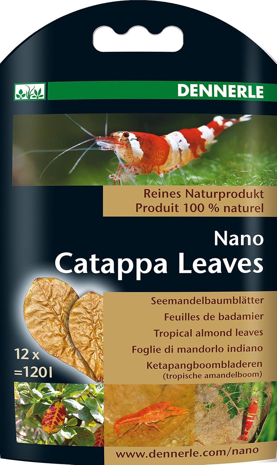 Aquariumpflege Dennerle Nano Catappa Leaves