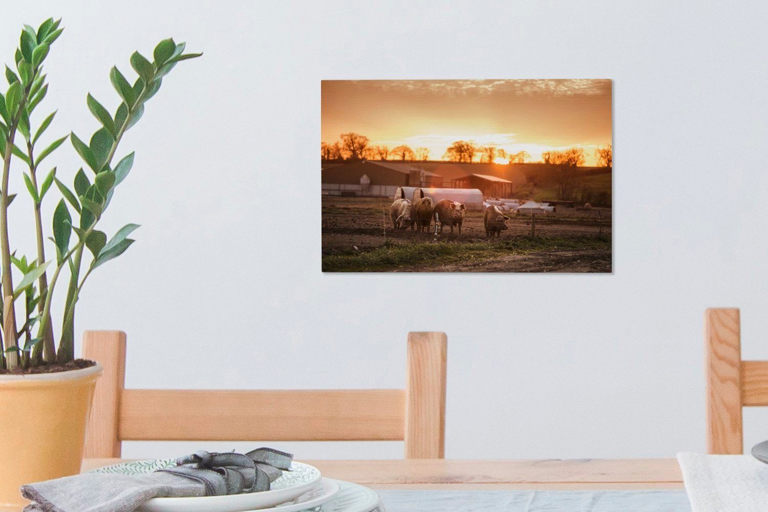 Wandbild Wanddeko, OneMillionCanvasses® 30x20 Sonne Leinwandbild cm (1 Leinwandbilder, - St), Bauernhof Schwein, - Aufhängefertig,