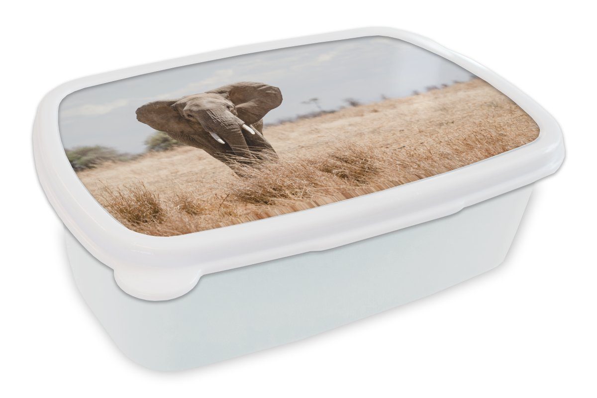 MuchoWow Lunchbox Elefant - Natur - Tiere - Porträt, Kunststoff, (2-tlg), Brotbox für Kinder und Erwachsene, Brotdose, für Jungs und Mädchen weiß