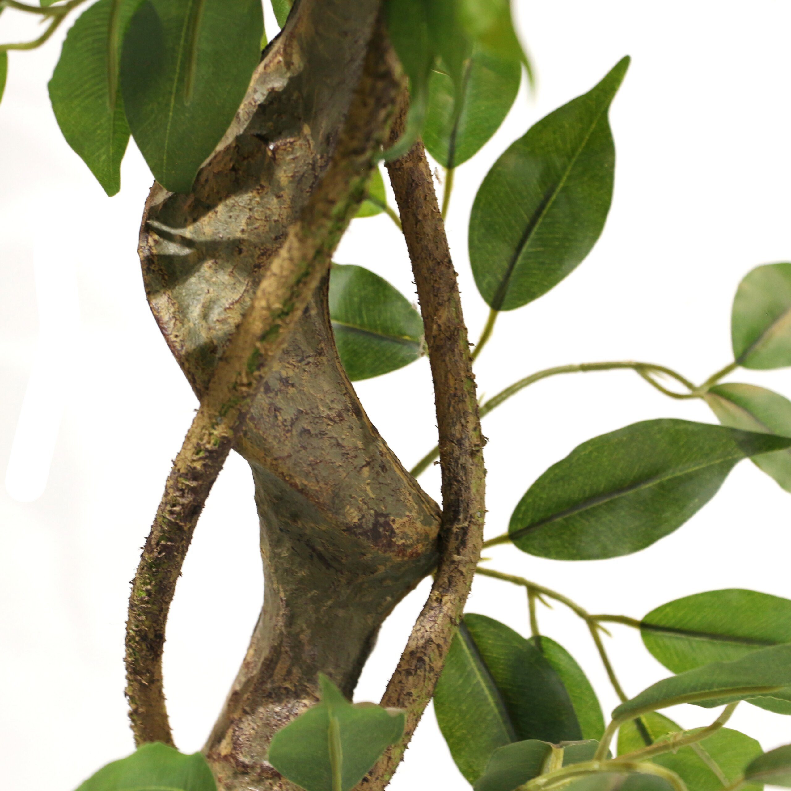 Kunstpflanze FICUS I Künstliche Pflanze Höhe 120.0 cm Birke Birke, hjh OFFICE, Höhe 120.0 cm, Künstliche Zimmerpflanze Benjamini im Kunststoff-Topf, Kunstbaum