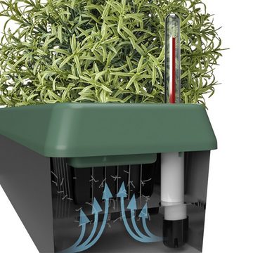 Bio Green Kräuterbeet für die Fensterbank "Provence" mit Bewässerungssystem