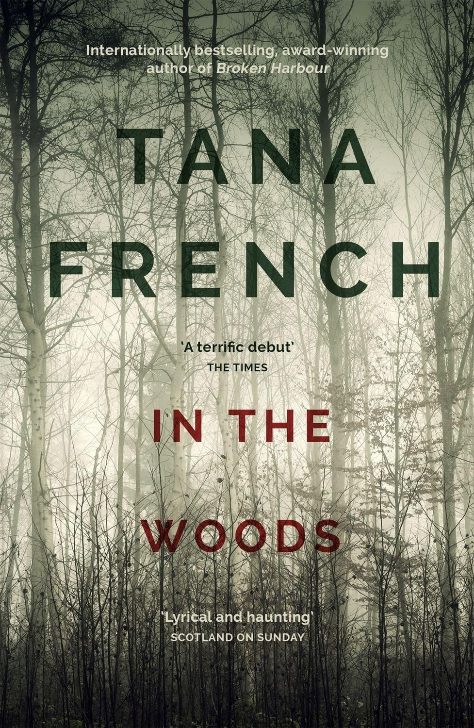 In the Woods / Tana French
