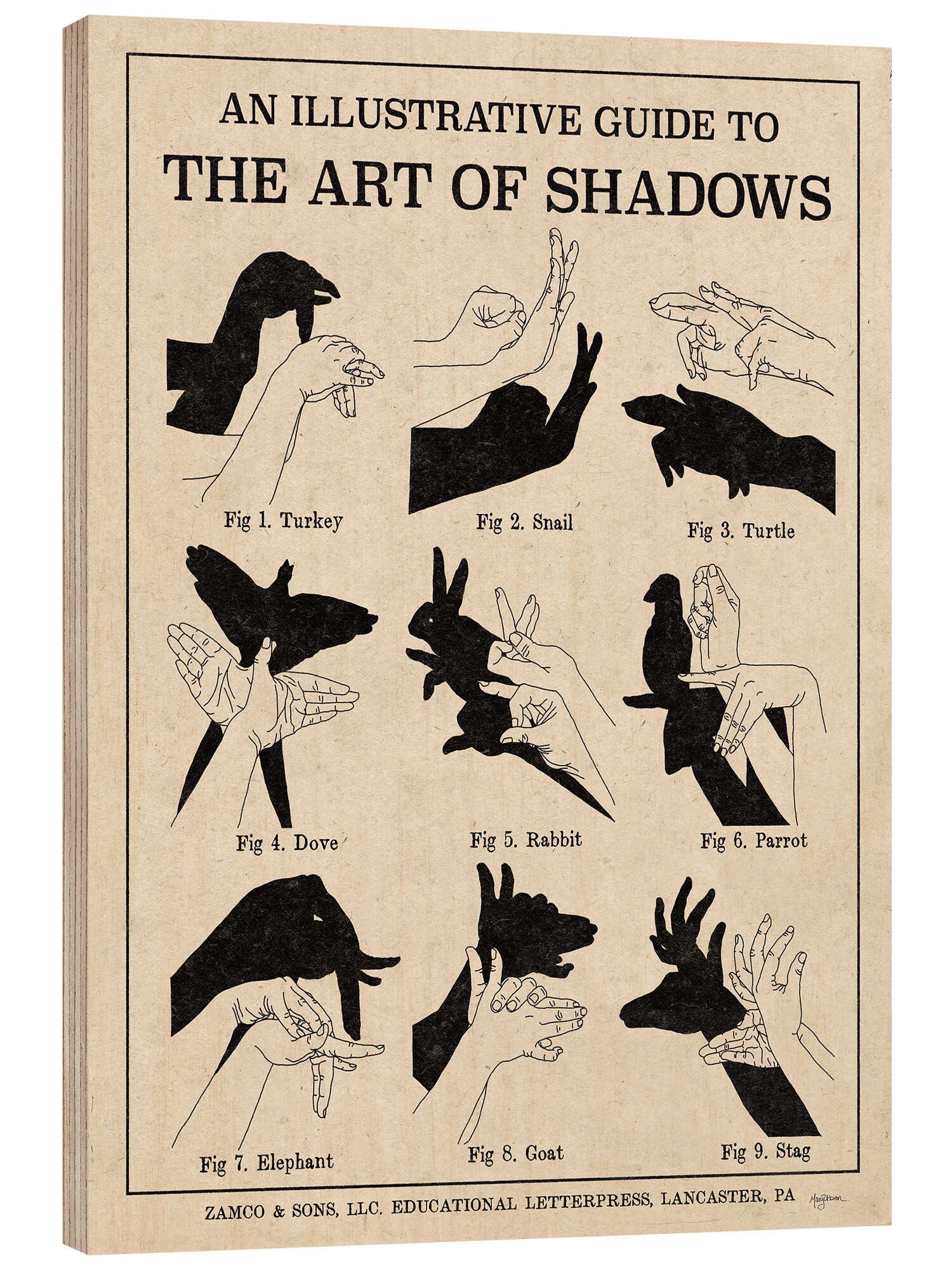 Posterlounge Wandbild Die Kunst der Schattenspiele X (Englisch), Mary Urban günstig online kaufen