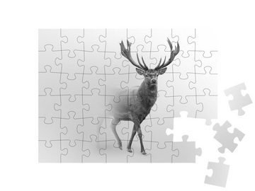 puzzleYOU Puzzle Majestätischer Rothirsch im Nebel, schwarz-weiß, 48 Puzzleteile, puzzleYOU-Kollektionen Hirsche