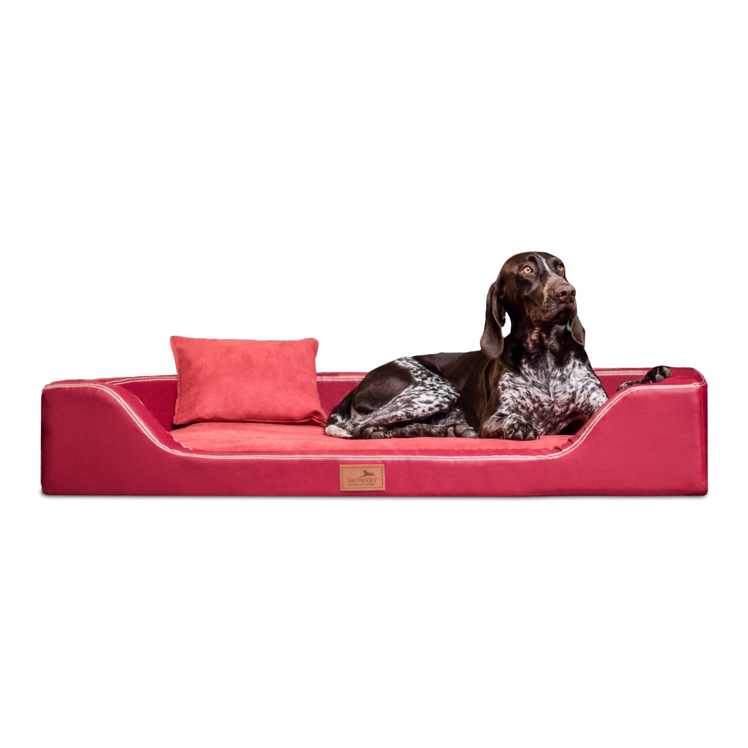 tierlando® Tierbett Orthopädisches LUXUS-Hundebett MELODY LATEX günstig online kaufen