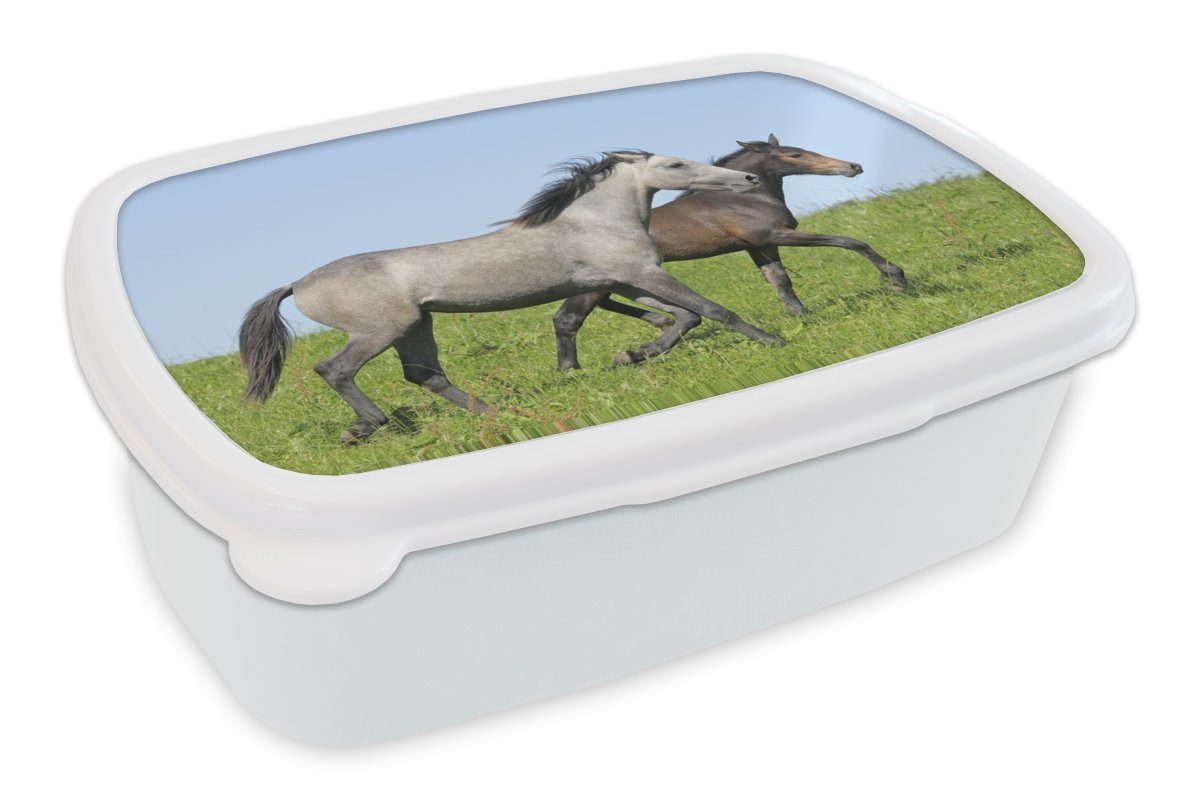 MuchoWow Lunchbox - Brotbox Gras, weiß Mädchen Erwachsene, Jungs Brotdose, - Pferde und und Kinder für für (2-tlg), Kunststoff, Tiere