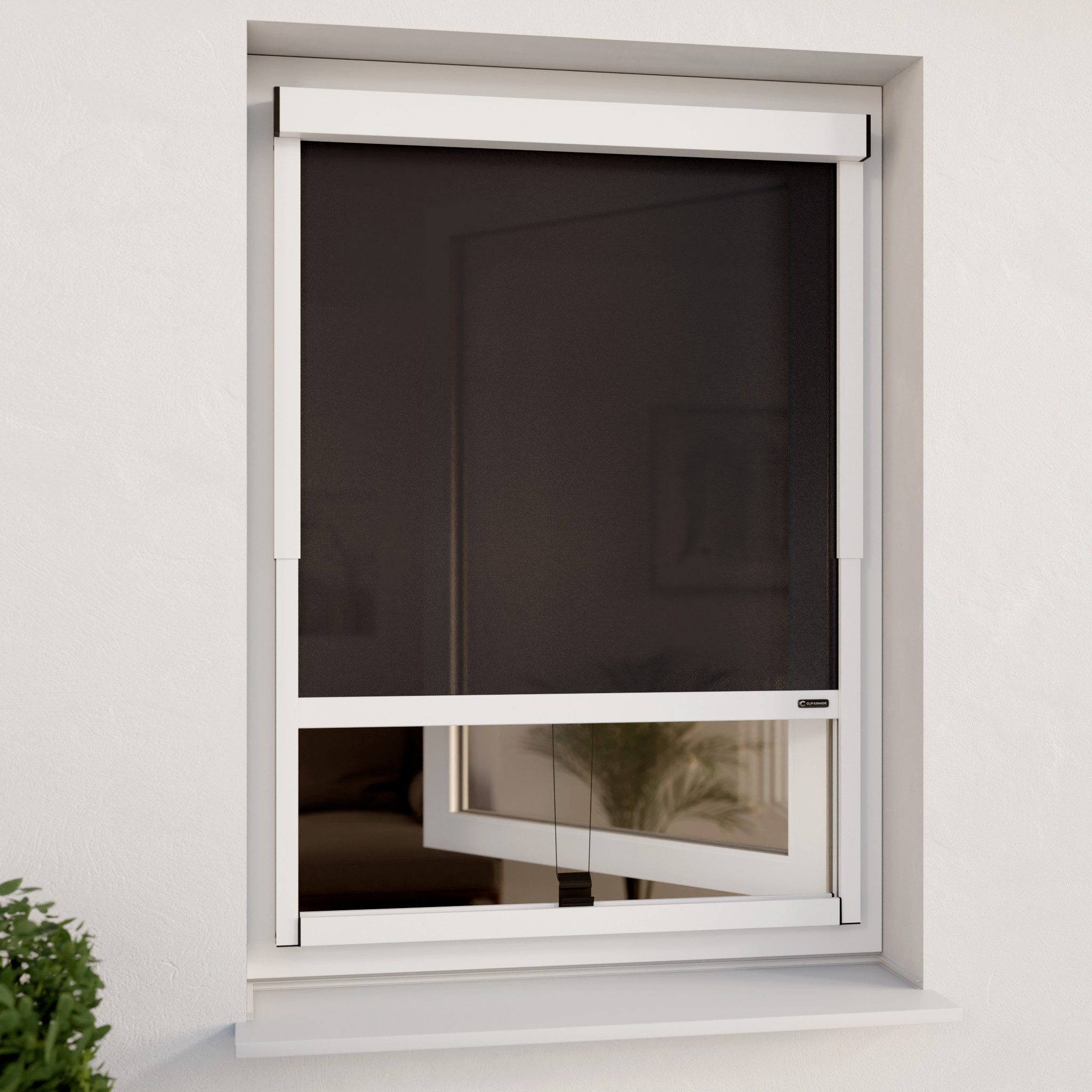 Rollo Außenrollo ohne Bohren (Weiß, Transparent) für Fenster CLIP & SHADE, CLIP & SHADE