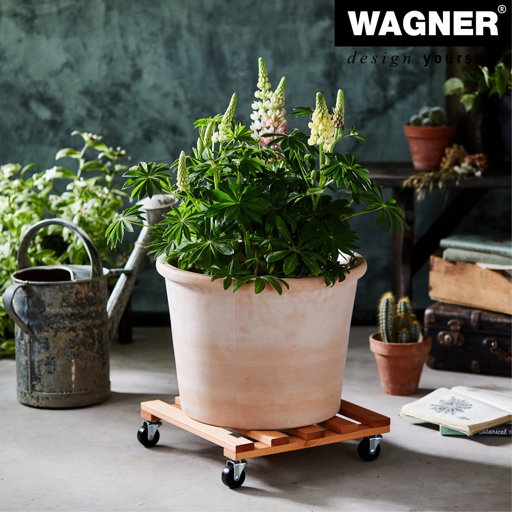 WAGNER design yourself Pflanzenroller PALETTI eckig günstig online kaufen