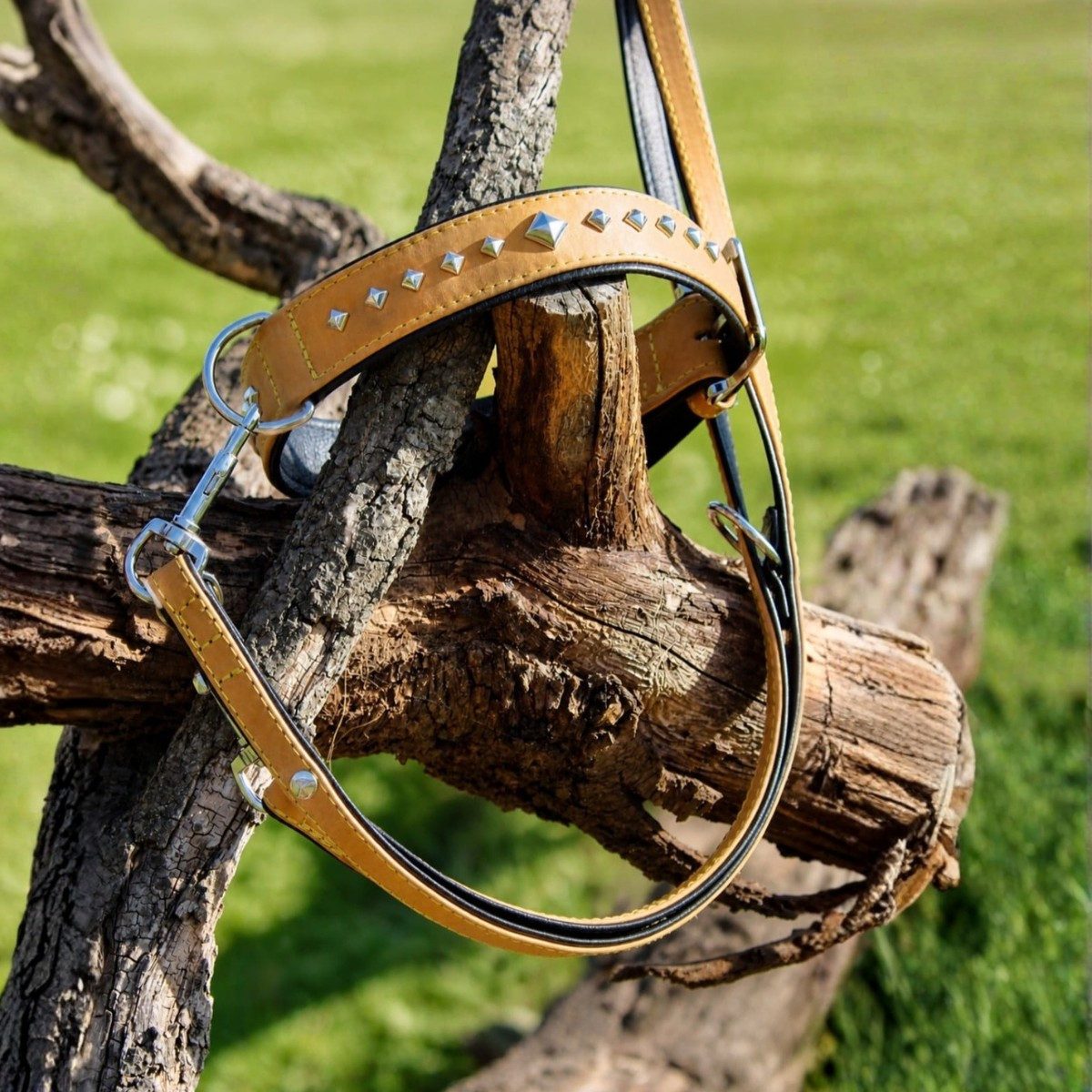 Das Lederband Hunde-Halsband Hundehalsband Roma sand/schwarz