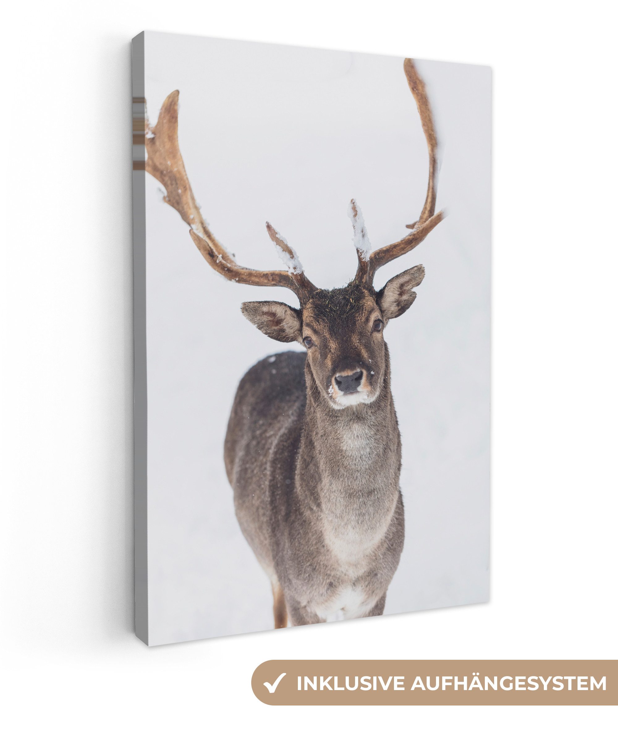 OneMillionCanvasses® Leinwandbild Hirsche - Geweihe - Schnee - Winter, Foto günstig online kaufen