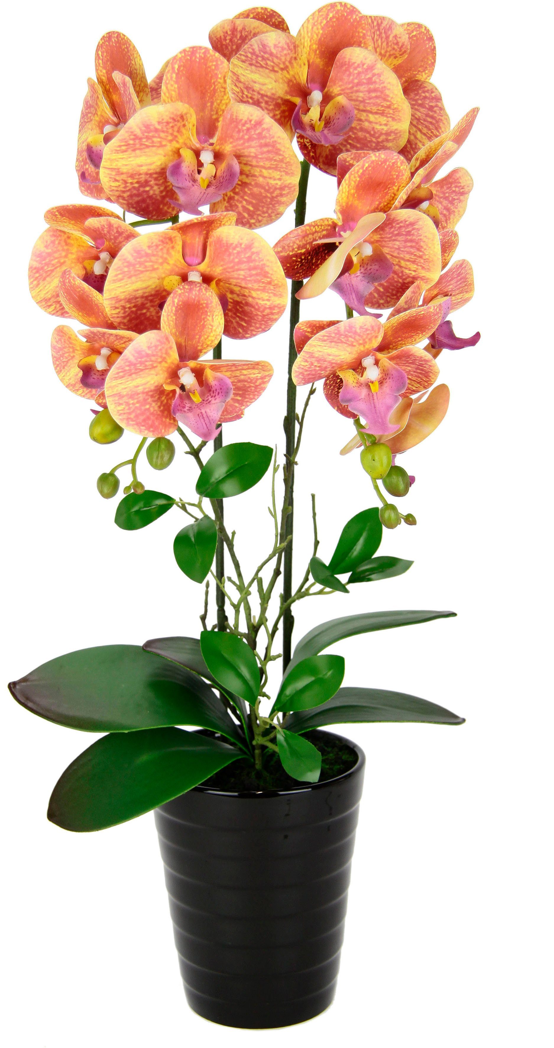 Kunstblume Orchidee, I.GE.A., Höhe 58 cm, Im Topf Phalaenopsis Orchidee Phalaenopsis mit Übertopf Hochzeit