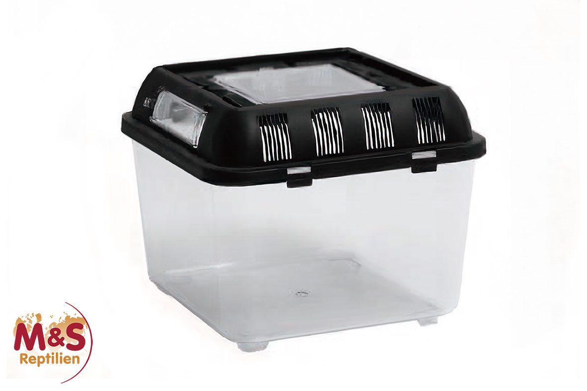 ReptiZoo Terrarium ReptiZoo Plastikterrarium mini 20,5x20,5x17 cm (RT2001B) von ReptiZoo
