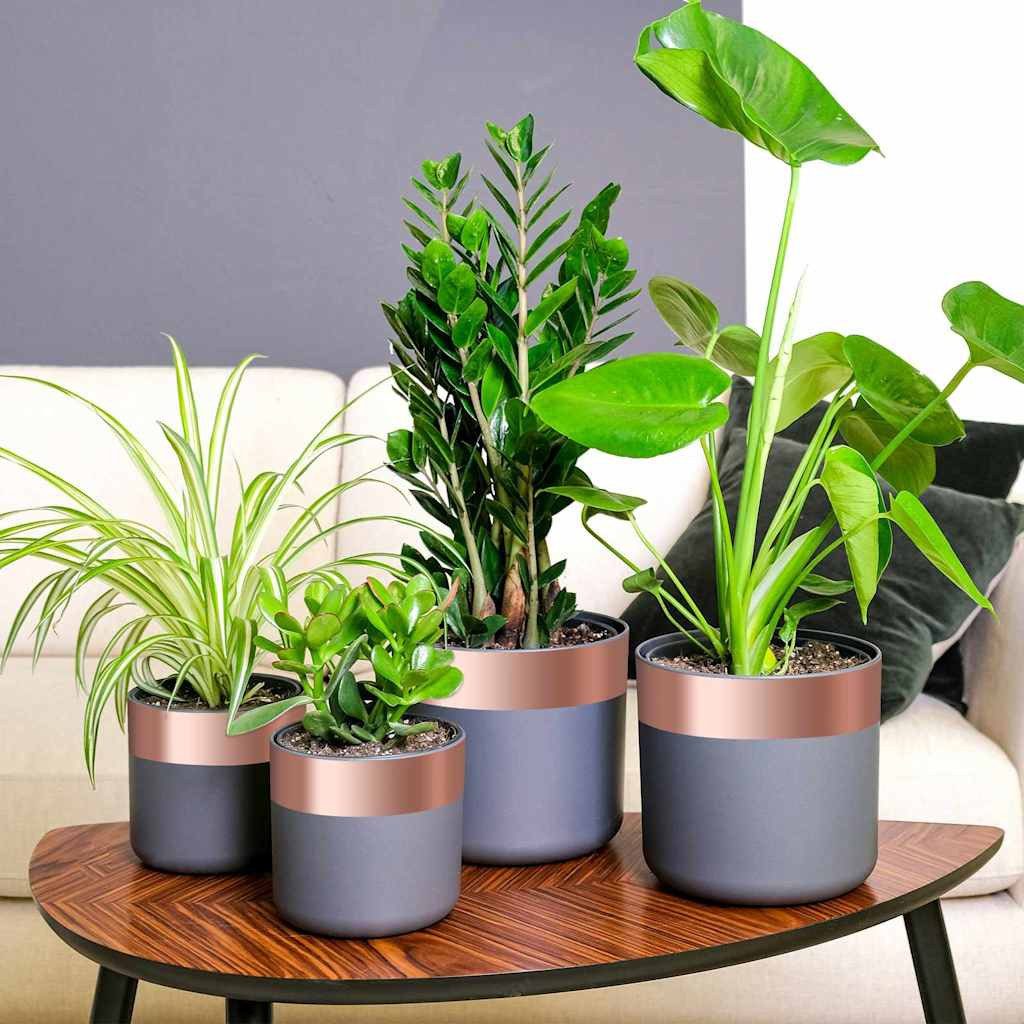 vidaXL Kupferband, Kupferband 6 pcs Kupfer 2000 x 7 cm Kupfer