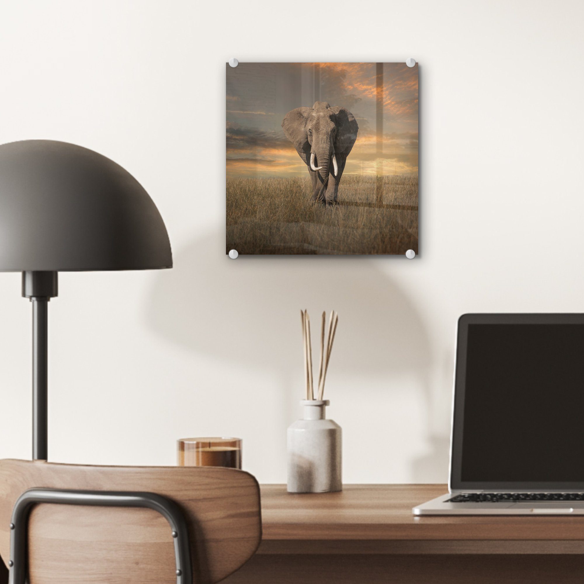 - Glas Wandbild Elefant Gras Glas - Foto Acrylglasbild - Wanddekoration - Bilder - MuchoWow Tiere auf Natur, St), Glasbilder auf (1 -