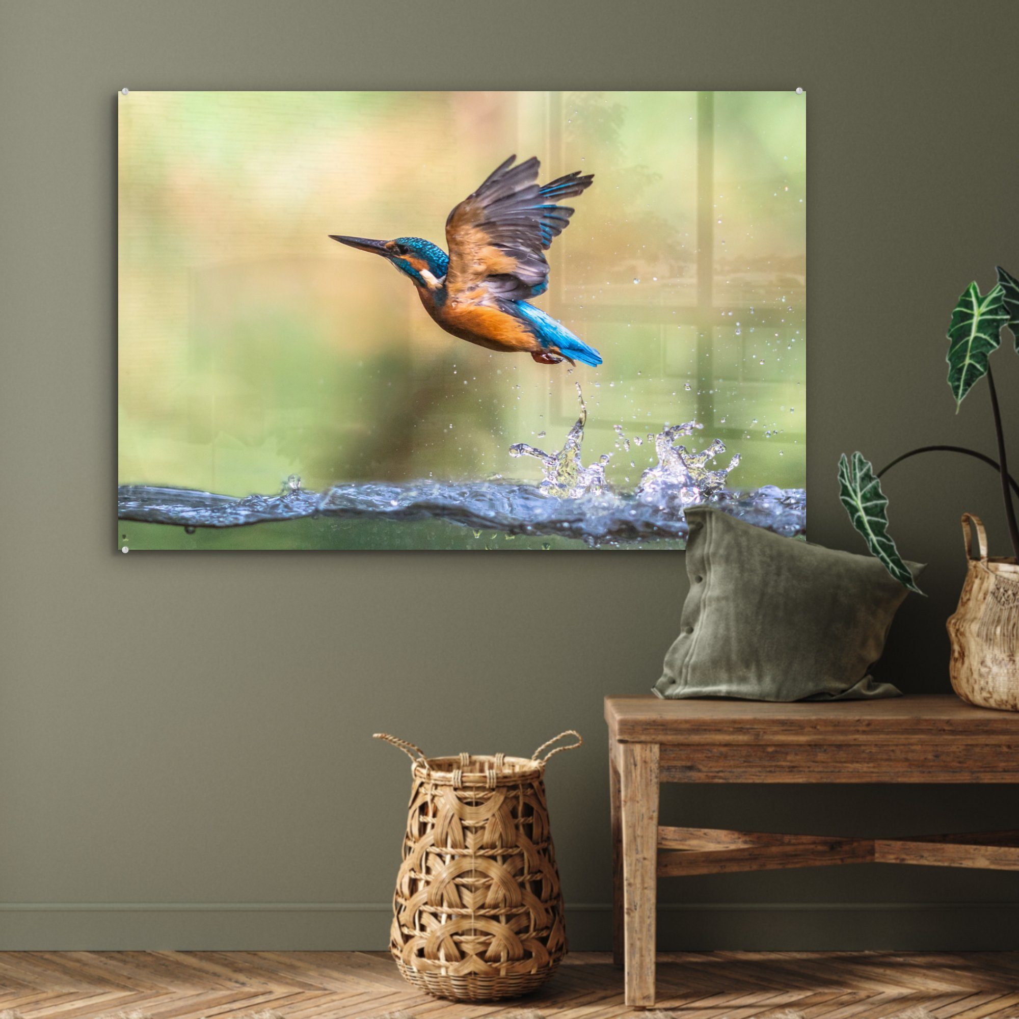 MuchoWow Acrylglasbild Schlafzimmer Wasser - Wohnzimmer (1 Fliegen, & Eisvogel - St), Acrylglasbilder