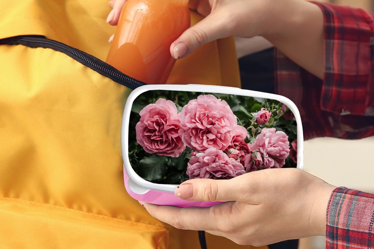 Kinder, (2-tlg), Mädchen, Brotbox Brotdose Snackbox, Lunchbox Rosa für Blumen Erwachsene, Kunststoff - Kunststoff, - Rosen, MuchoWow