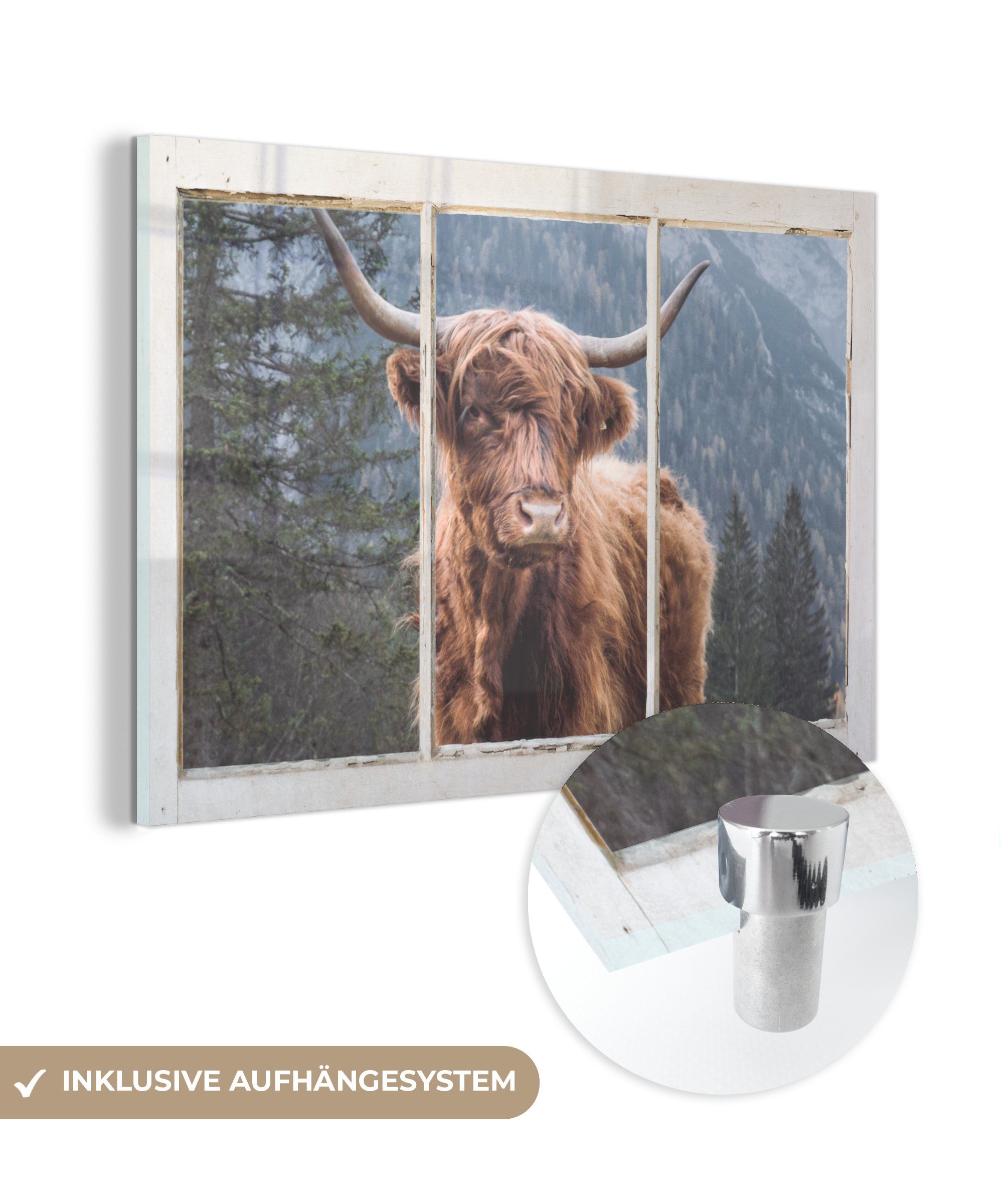MuchoWow Acrylglasbild Schottischer Highlander - Ansicht - Vista, (1 St), Glasbilder - Bilder auf Glas Wandbild - Foto auf Glas - Wanddekoration