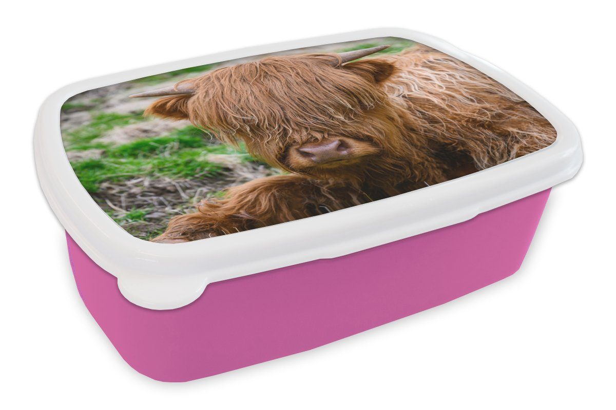 MuchoWow Lunchbox Schottischer Highlander - Heu - Gras, Kunststoff, (2-tlg), Brotbox für Erwachsene, Brotdose Kinder, Snackbox, Mädchen, Kunststoff rosa