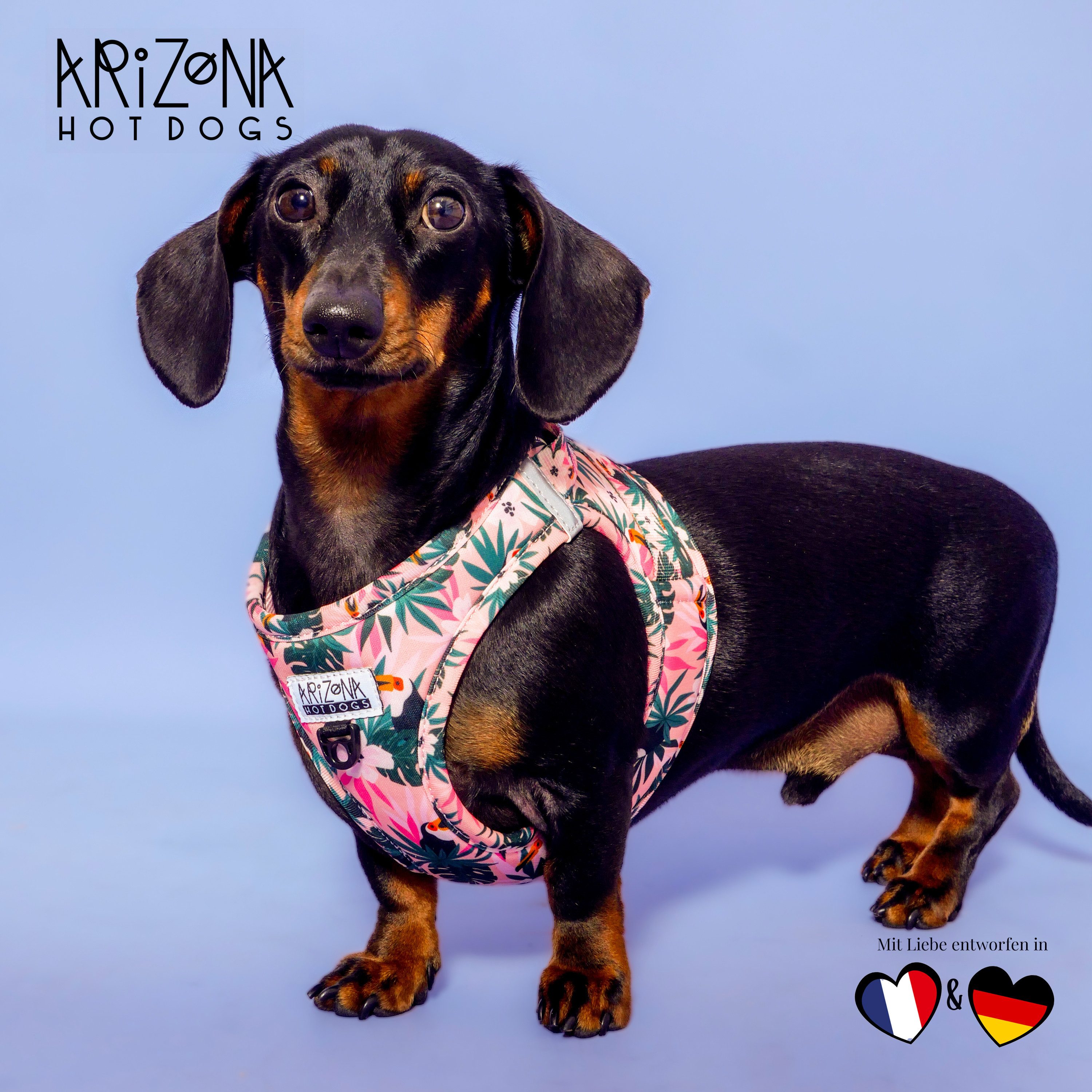 ARIZONA HOT DOGS Hunde-Geschirr Hundegeschirr Step-In Neopren, Arizona Hotdogs Geschirr Tropicool, S