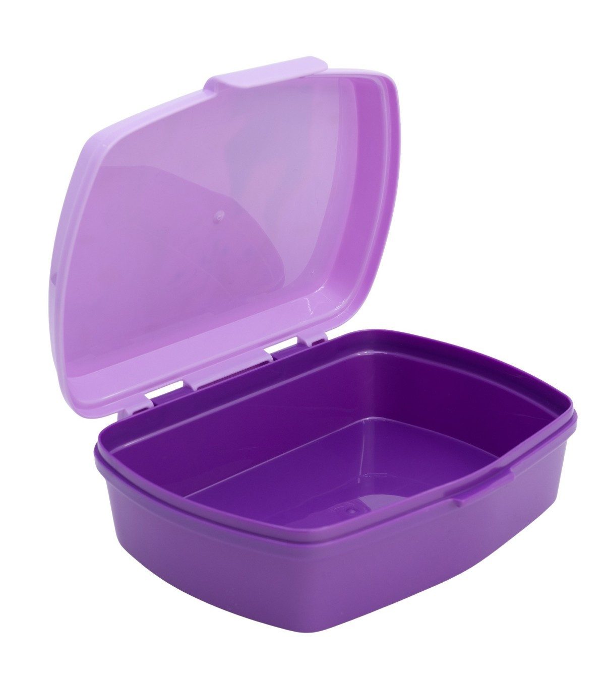 Disney Frozen Lunchbox Kinder Brotdose für Schule Freizeit und Ausflug, Polyethylen