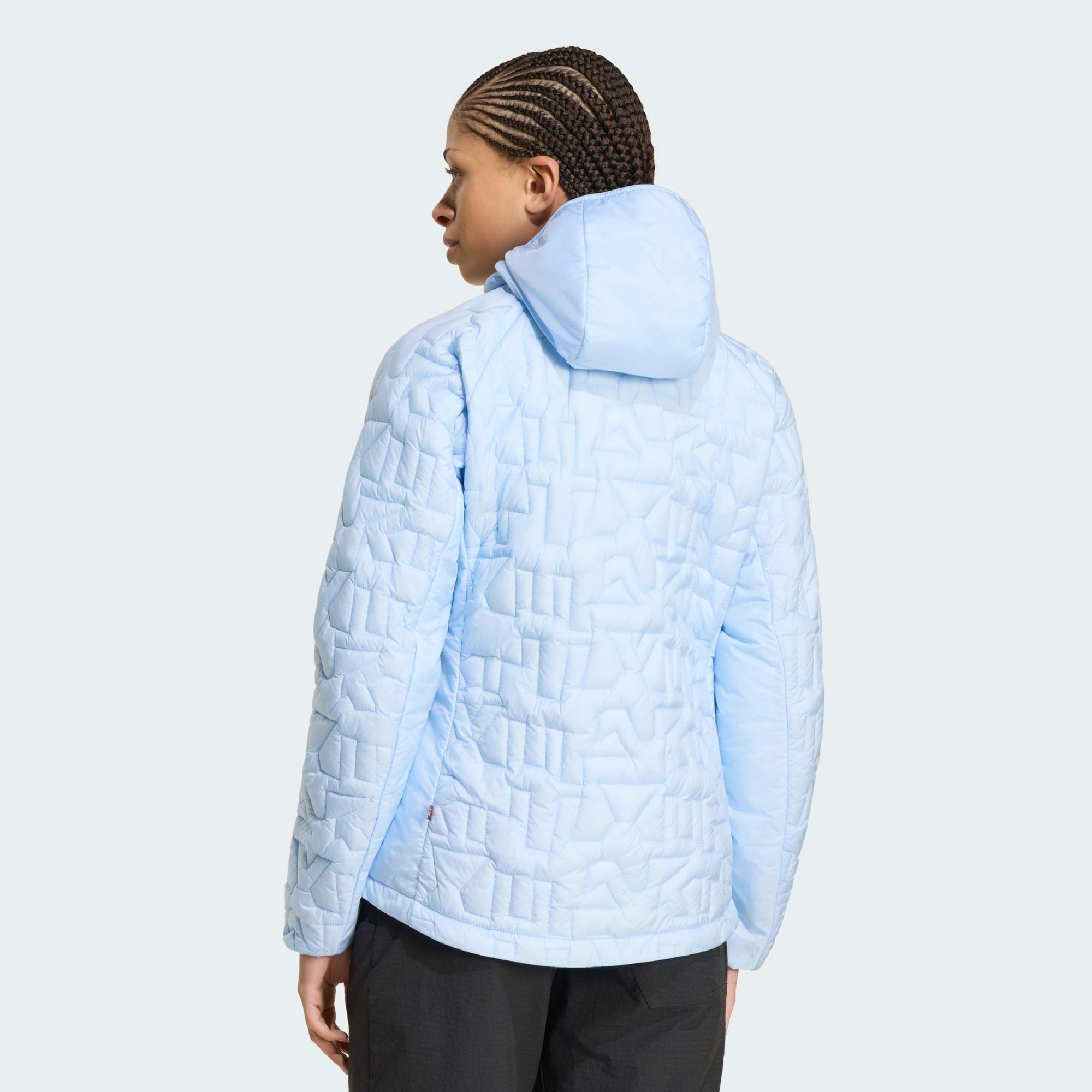 adidas TERREX Funktionsjacke (1-St)