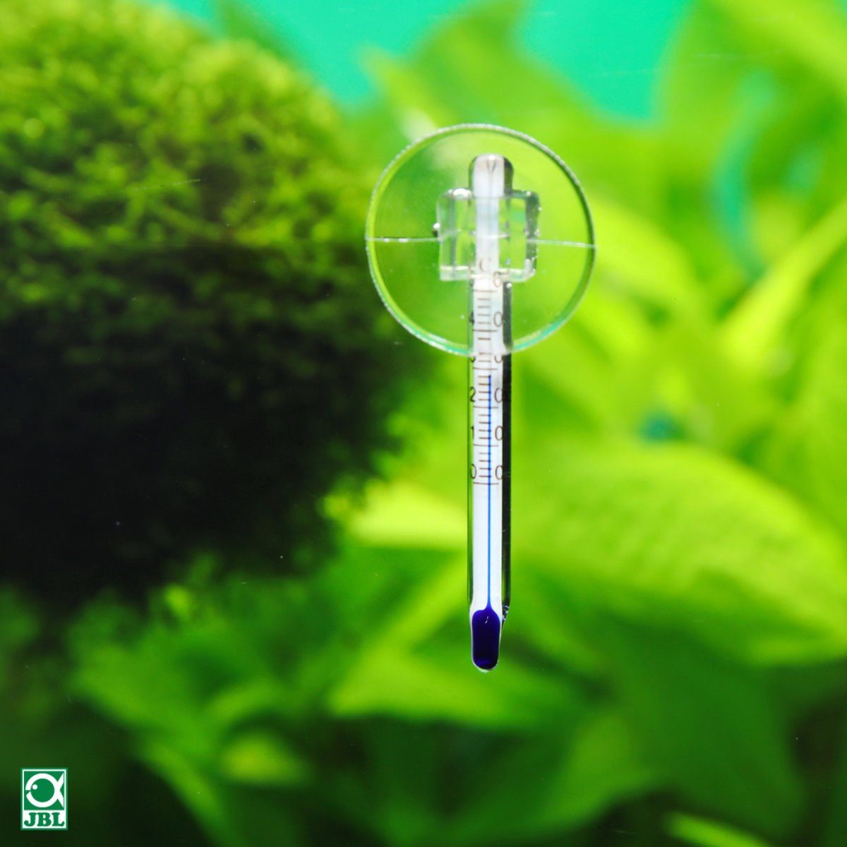 JBL GmbH & Co. KG Aquarienthermometer Aquarienthermometer Mini