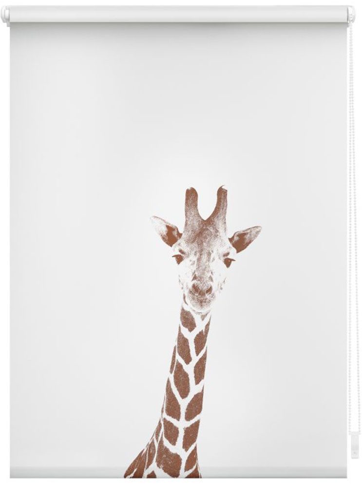 Rollo Klemmfix, ohne Bohren, LICHTBLICK ORIGINAL, verdunkelnd, mit Bohren/ohne Bohren, freihängend, Klemm- oder Schraubmontage