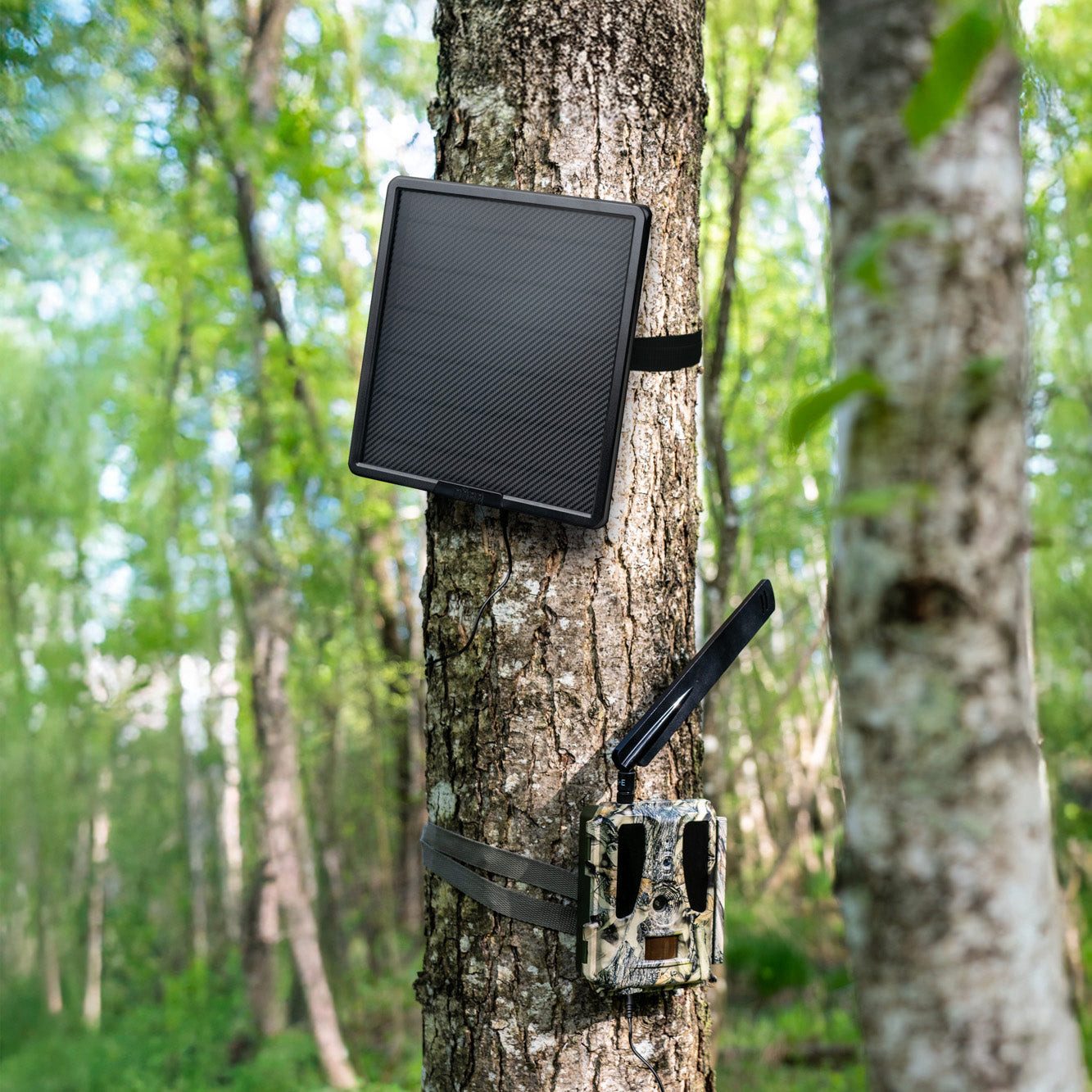 Dörr Überwachungskamera Zubehör Solarpanel 15000mAh 6V-9V-12V (Außenbereich)