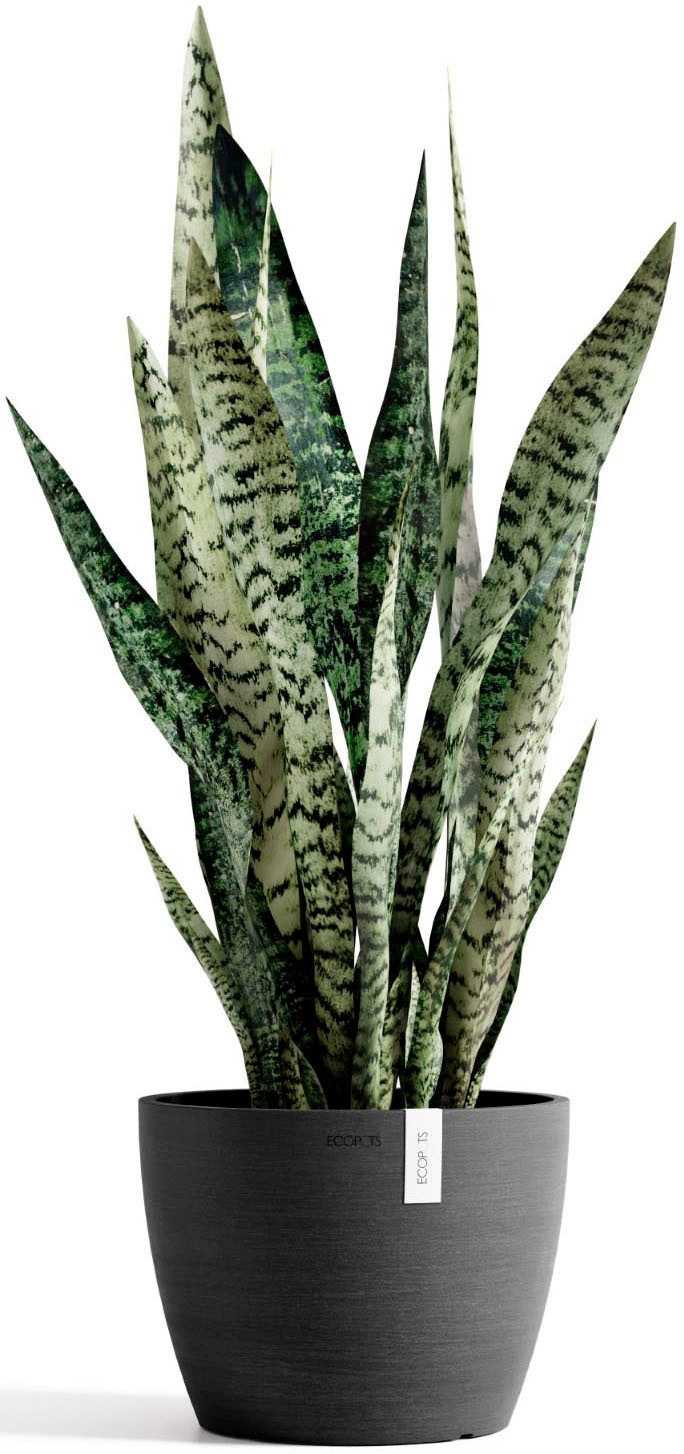 ECOPOTS Blumentopf Stockholm 24 Dunkelgrau, für innen und außen: frostsiche günstig online kaufen