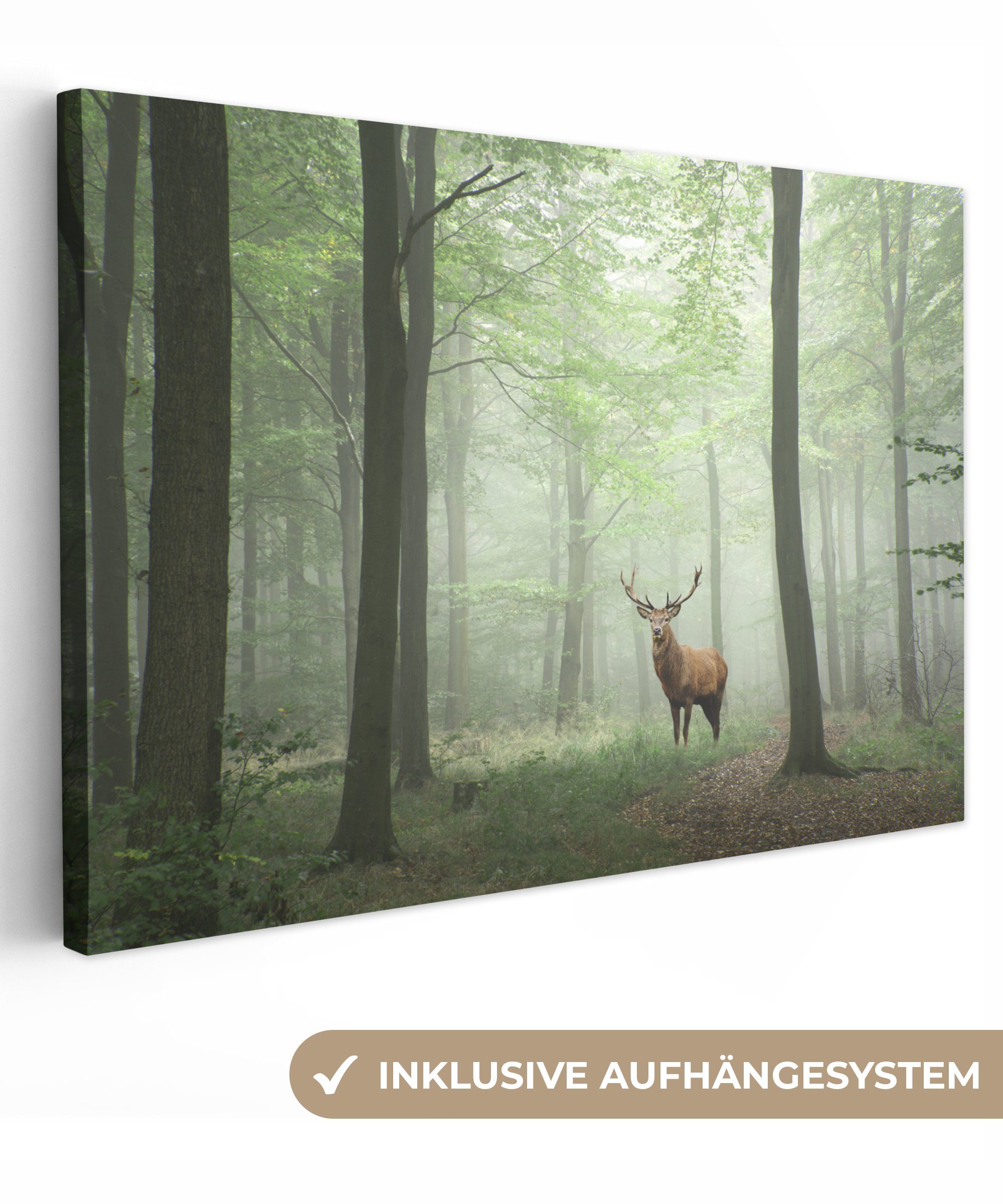 Leinwandbild Hirsche - Wald - Bäume