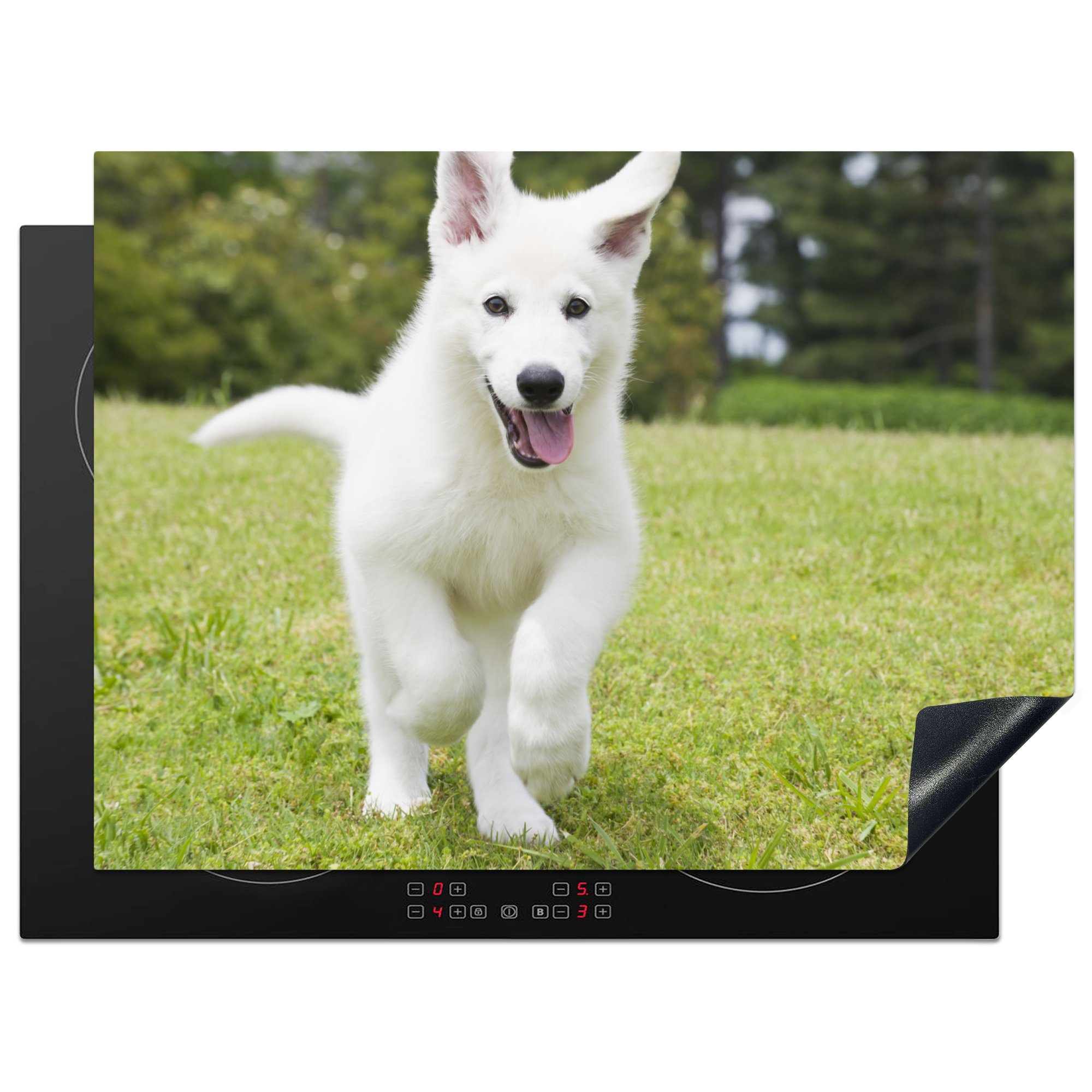 MuchoWow Herdblende-/Abdeckplatte Ein weißer Deutscher Schäferhund Welpe, Vinyl, (1 tlg), 70x52 cm, Mobile Arbeitsfläche nutzbar, Ceranfeldabdeckung