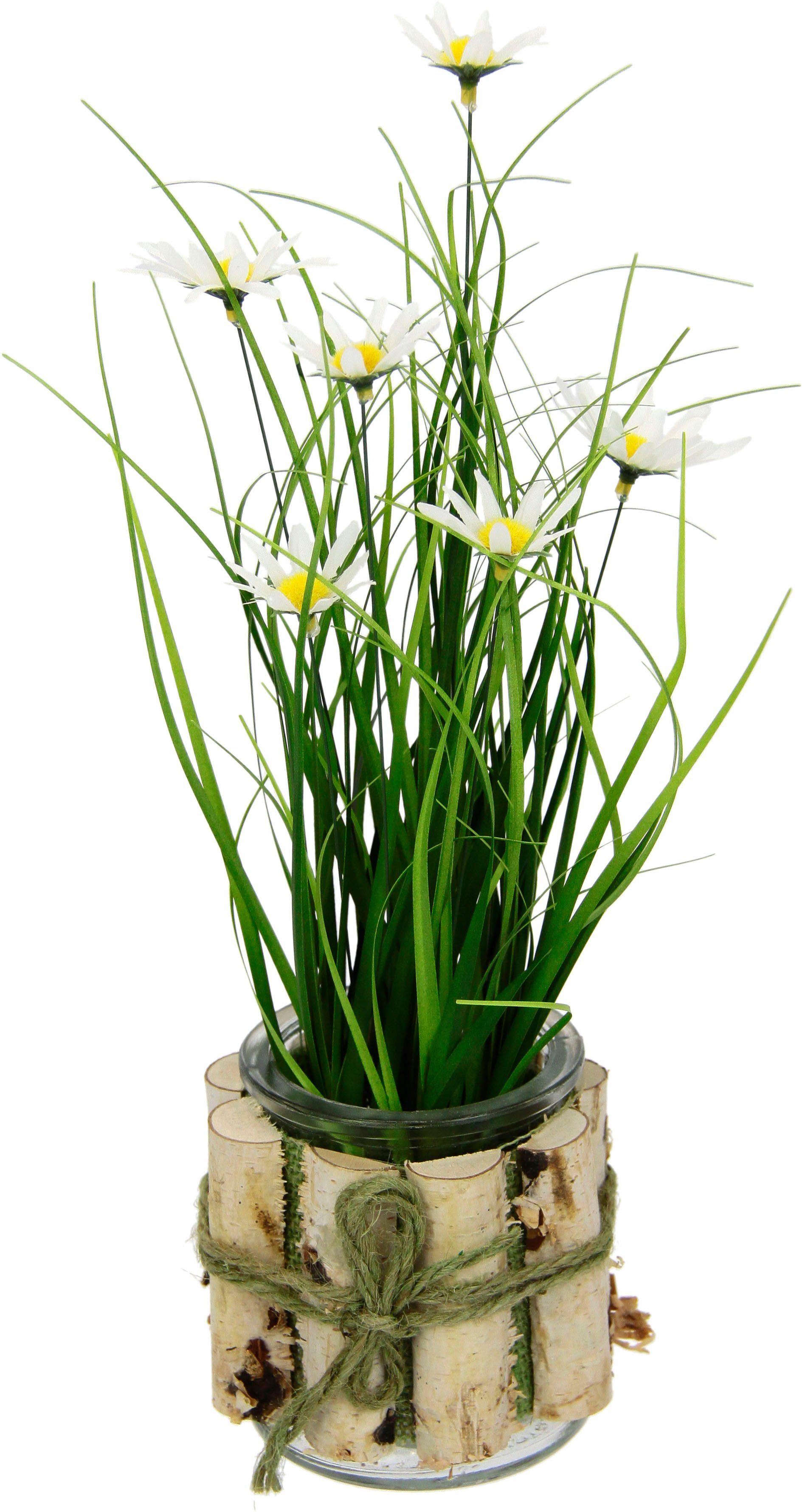 Kunstblume Margeriten im Gras Margeriten, I.GE.A., Höhe 33 cm, 3er Set