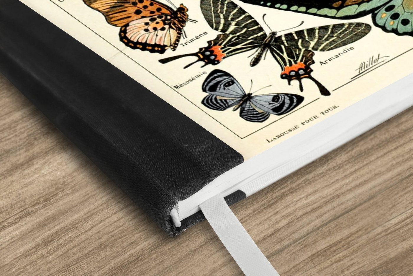 Thumbnail - MuchoWow Notizbuch Adolphe Millot - Schmetterling - Tiere - Insekten - Vintage, Notebook, Notizblock a5, Tagebuch, Journ...