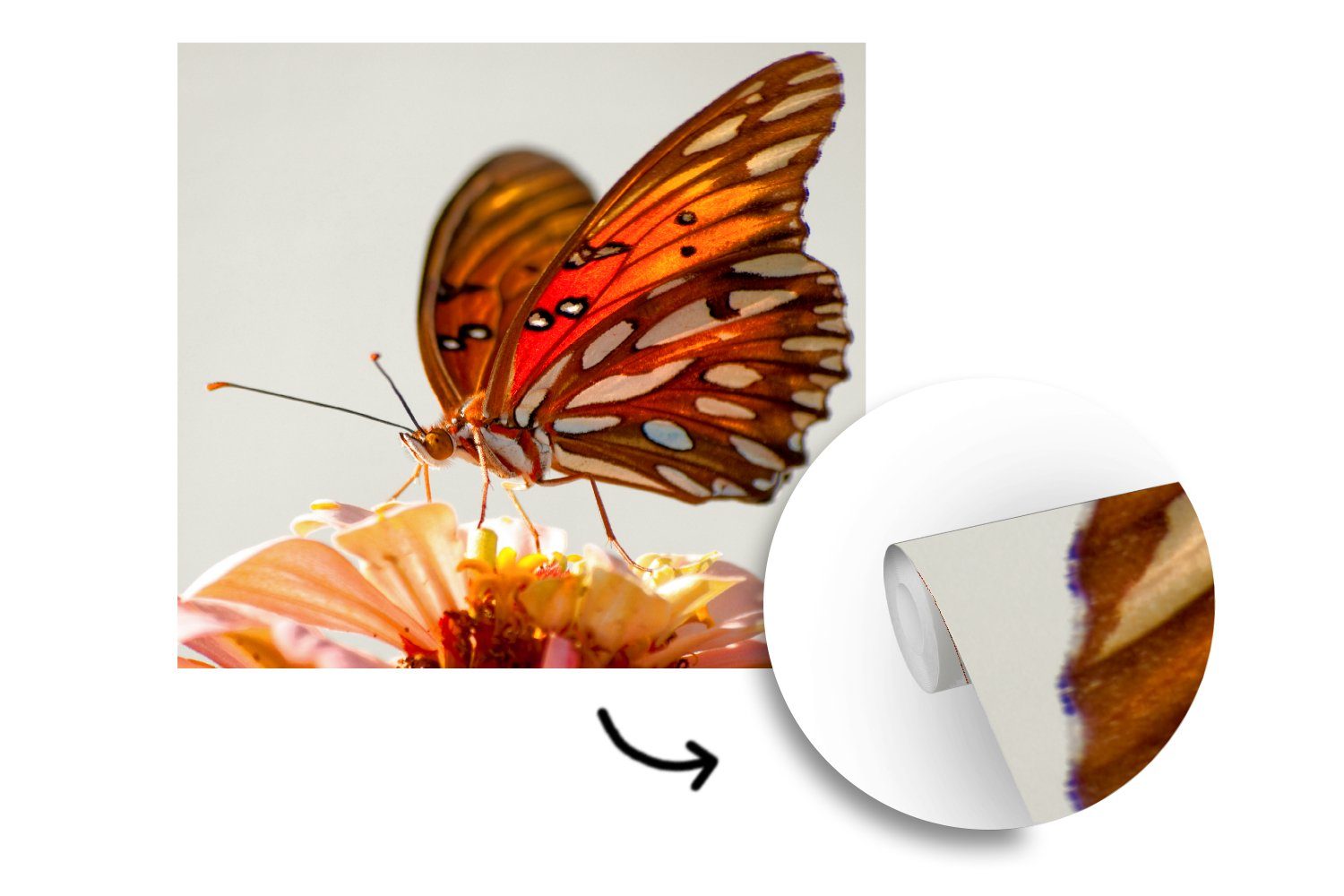 MuchoWow Fototapete Schmetterling Blume Matt, St), Orange Vliestapete bedruckt, - für - Fototapete Schlafzimmer - Küche, (4 Wohnzimmer Insekten