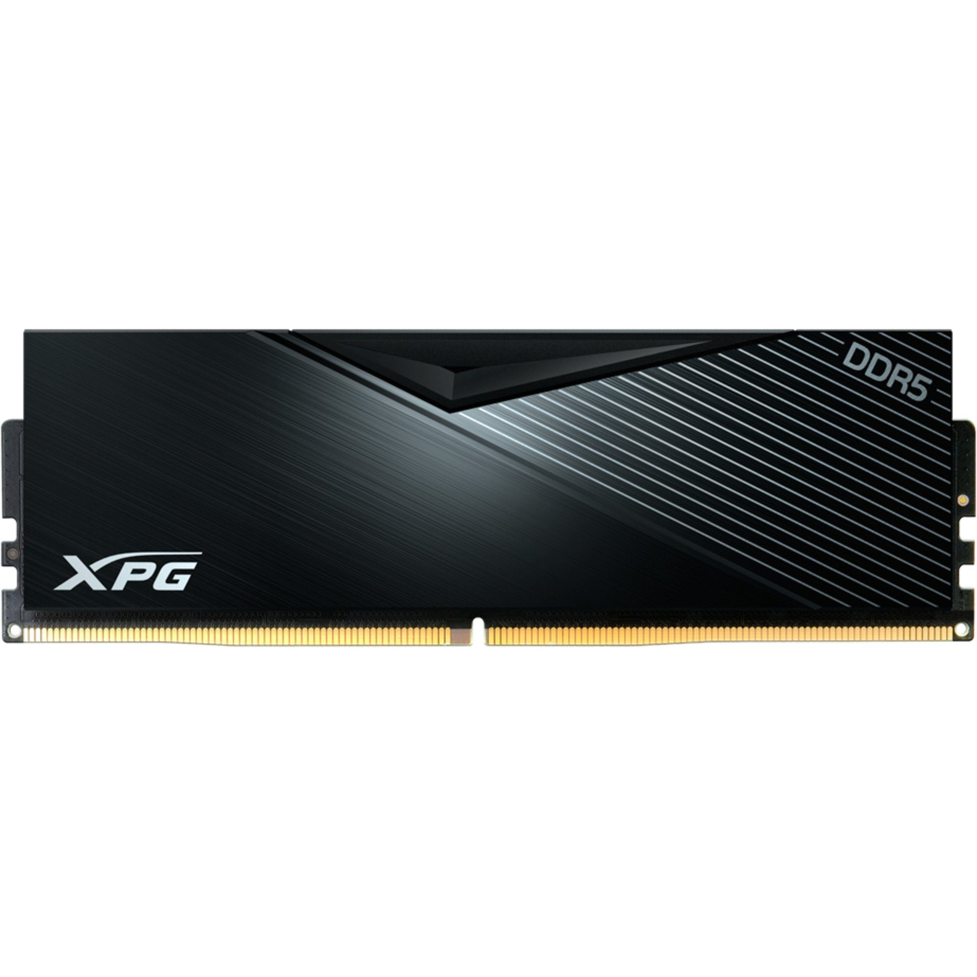ADATA ADATA DIMM 16 GB DDR5-6000, Arbeitsspeicher Arbeitsspeicher