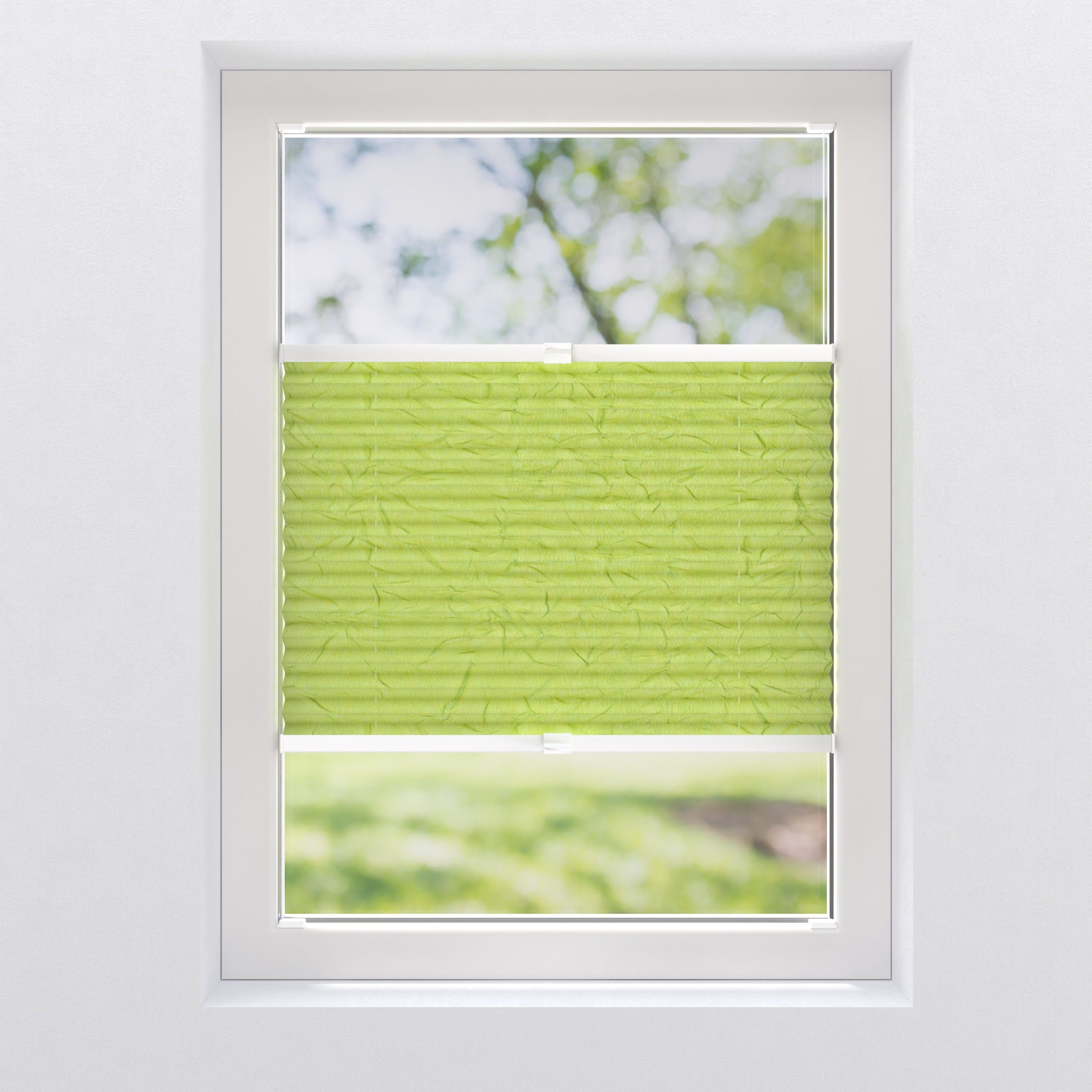 Plissee Marleen, my home, transparent, mit Bohren/ohne Bohren, verspannt, Klemmträger mit Feststellschraube grün/grün | Plissees