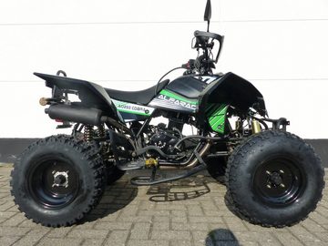 KXD Quad 250 ccm Quad Alpharad Offroad Edition ATV Enduro mit Straßenzulassung