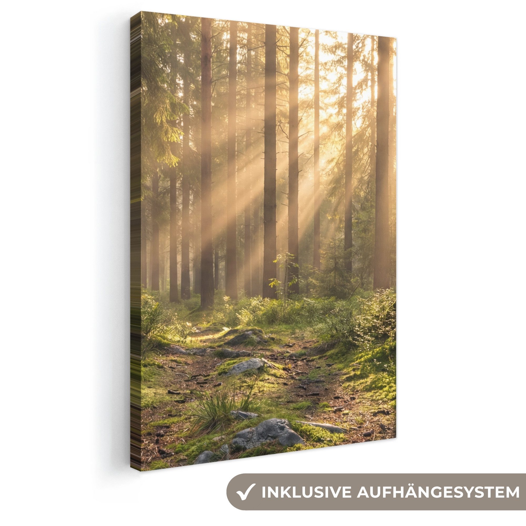 OneMillionCanvasses® Leinwandbild Wald - Sonnenlicht - Gras, Fotodruck (1 St), Leinwand Canvas Wandbild, Wanddekoration 20x30 cm
