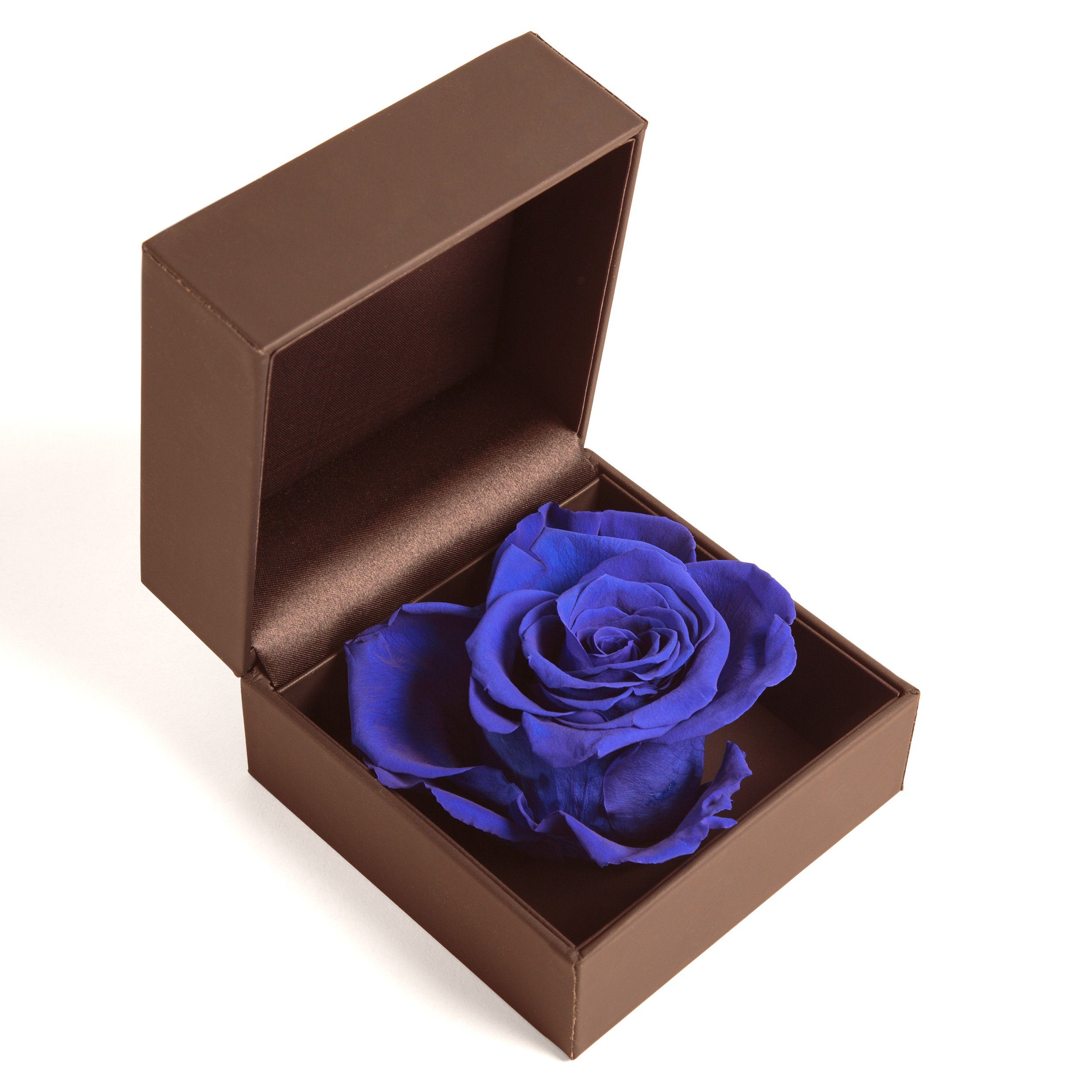 Kunstblume Rosenbox Ringbox Groß Infinity Rose konserviert in Box Ringdose Rose, ROSEMARIE SCHULZ Heidelberg, Höhe 9 cm, Langlebige Rose Blau