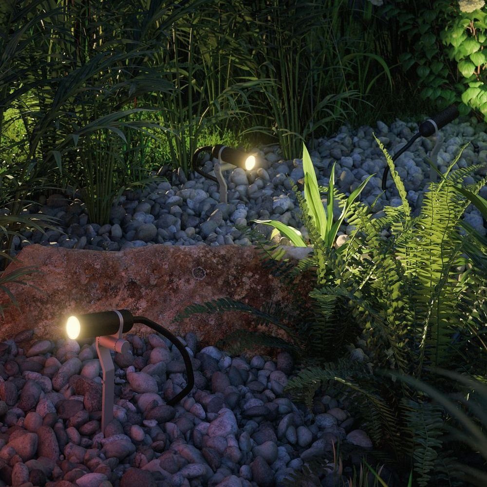 anthrazit Gartenstrahler Shine LED Angabe, Erdspießleuchte warmweiß, fest in Leuchtmittel LED, 2,5W warmweiss, IP65 enthalten: Ja, & keine verbaut, Plug Außenstrahler LED Paulmann