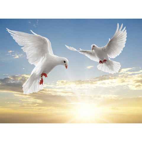 Papermoon Fototapete White Doves, glatt