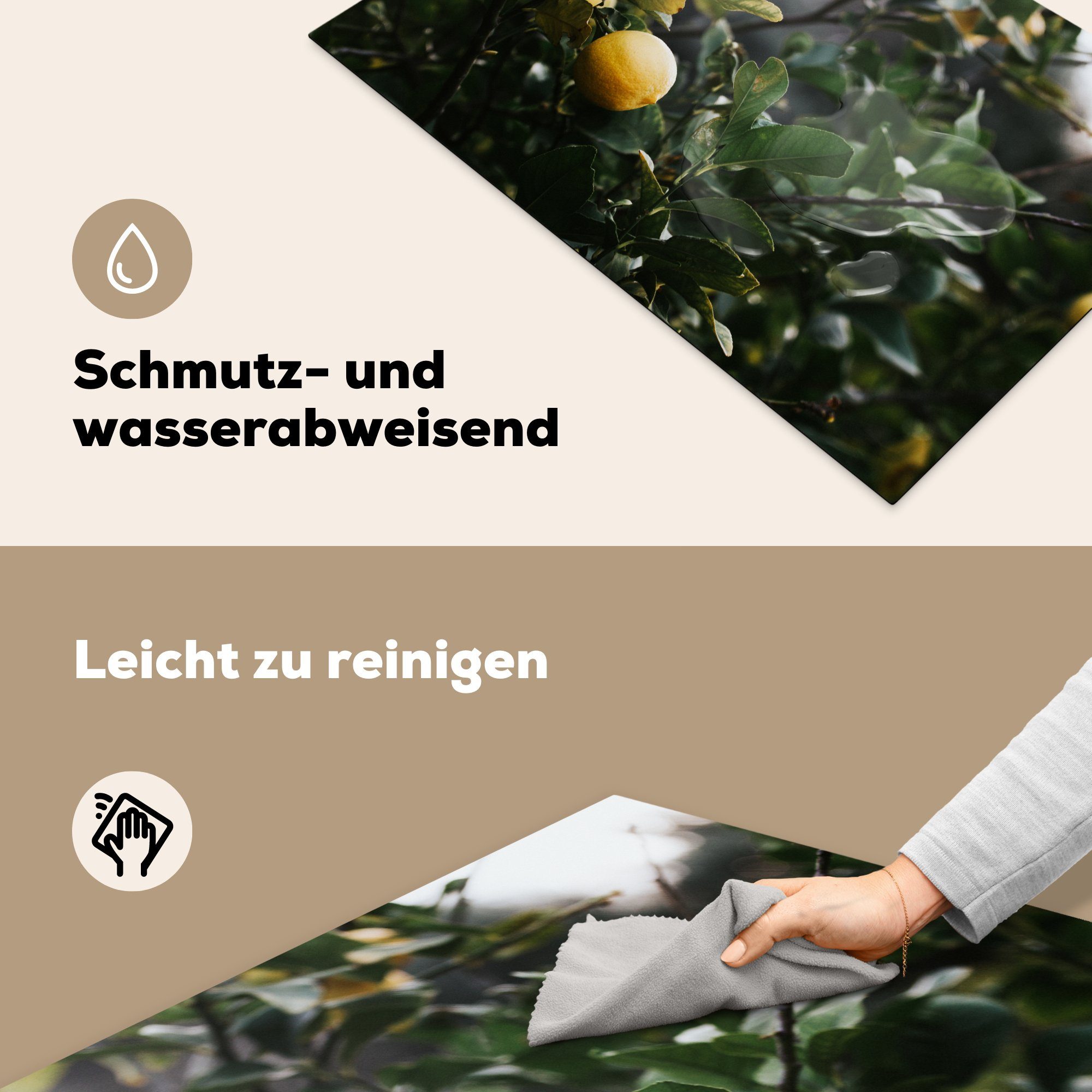 Induktionskochfeld die cm, Zitronenbaum, (1 Herdblende-/Abdeckplatte Ceranfeldabdeckung Vinyl, Schutz 81x52 küche, für tlg), MuchoWow