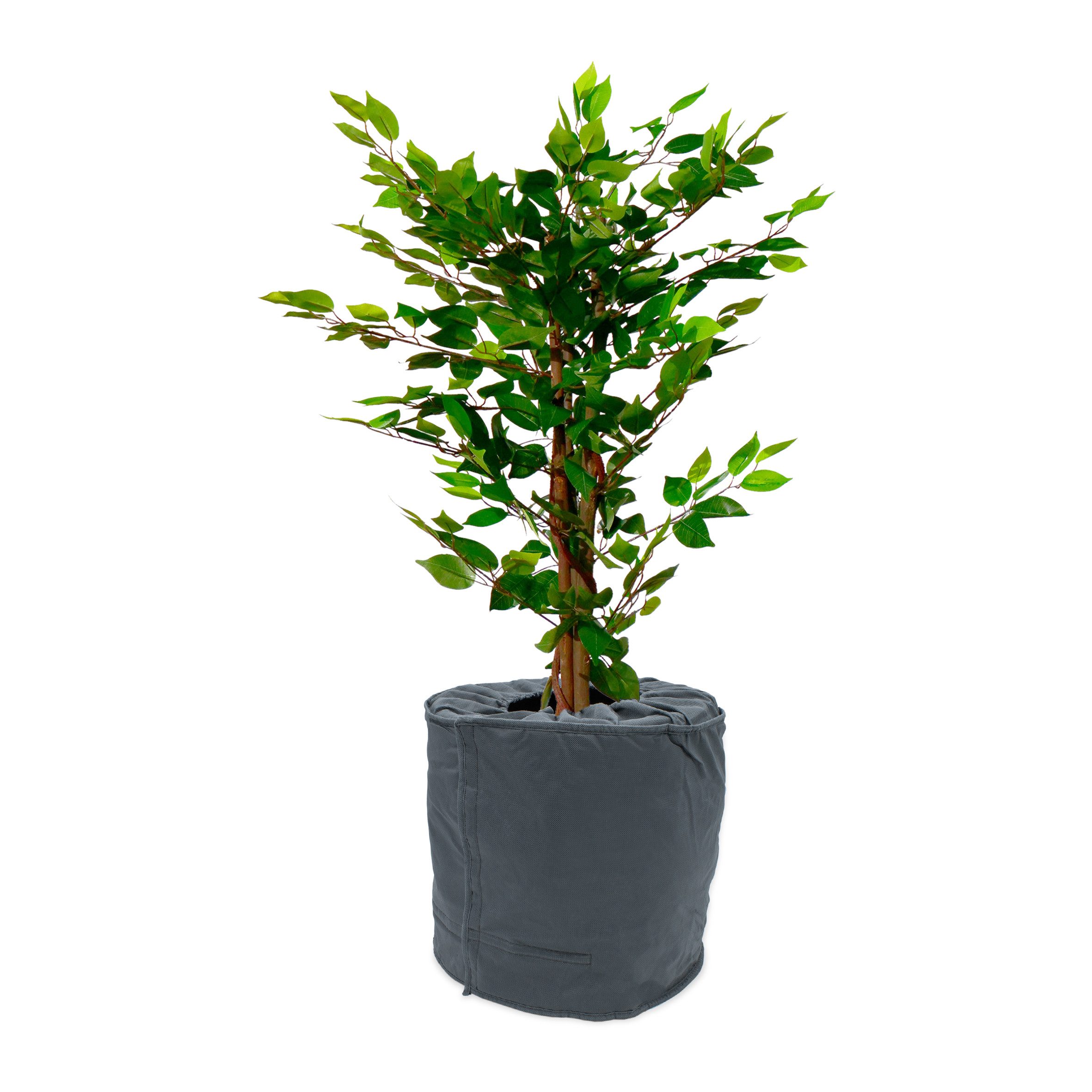 Spetebo Übertopf Thermo Topfschutz für Pflanzen - 40 x 40 cm günstig online kaufen