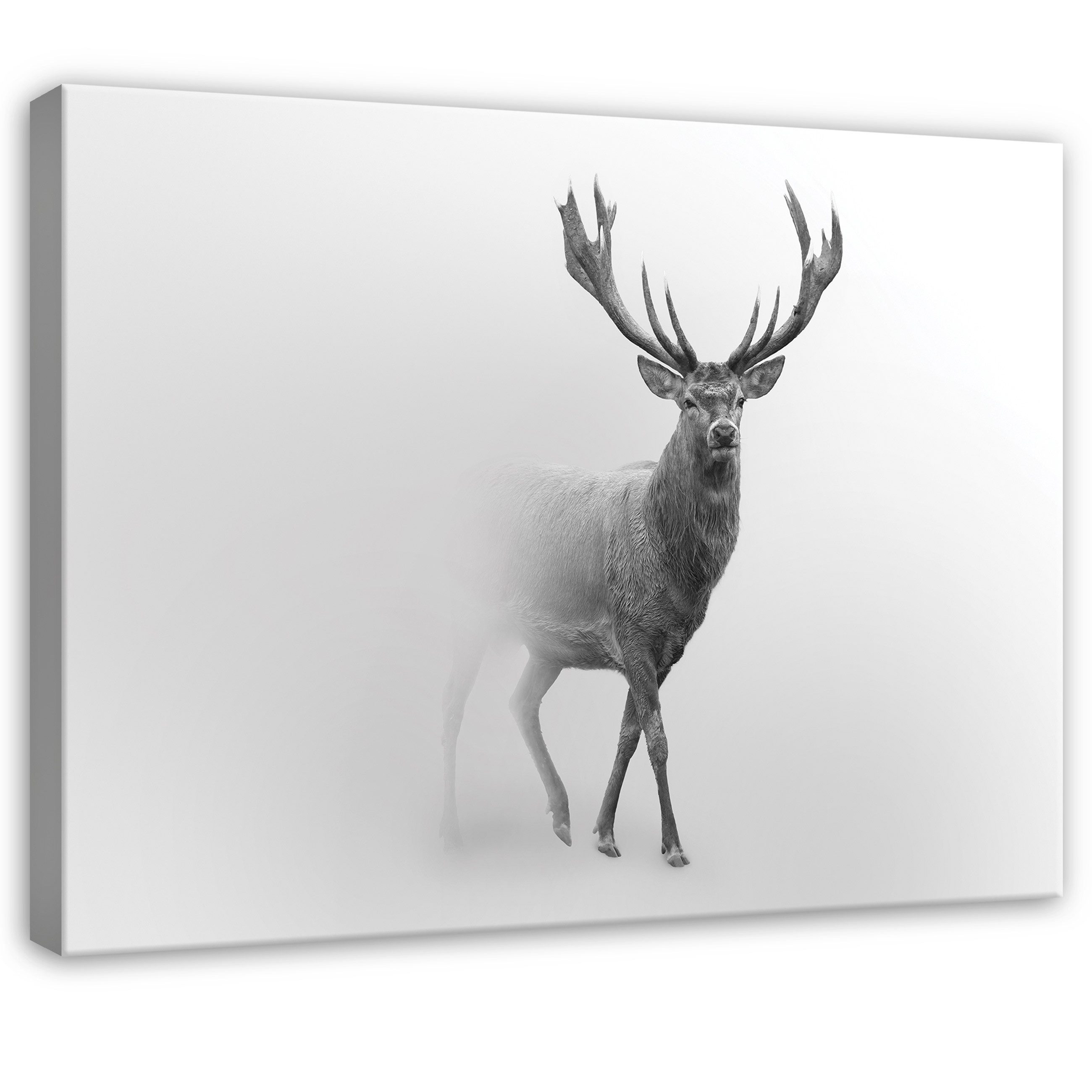 Wallarena Leinwandbild Hirsch Tiere - Grau - Modern - Schlafzimmer, Nebel, 60x40x2cm