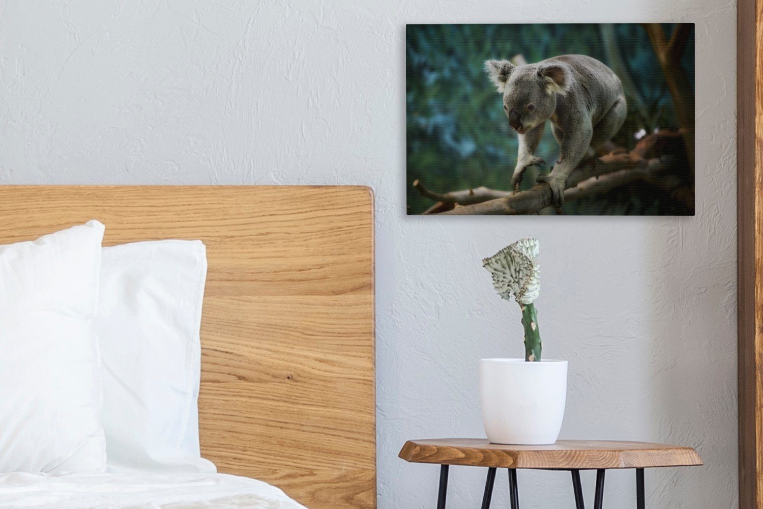 Australien, Koala (1 Leinwandbilder, Leinwandbild - Bumm cm 30x20 Aufhängefertig, - OneMillionCanvasses® St), Wanddeko, Wandbild