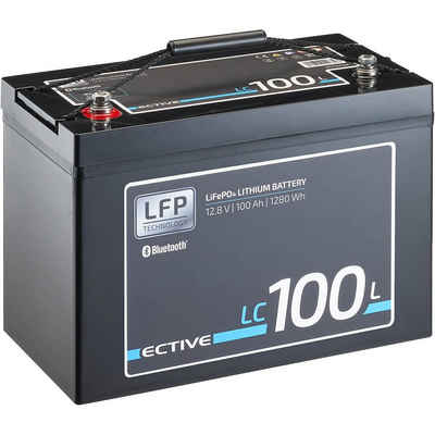 ECTIVE ECTIVE 12V 100Ah LiFePo4 Solar Batterie Lithium BMS Wohnmobil Camper Batterie, (12 V V)