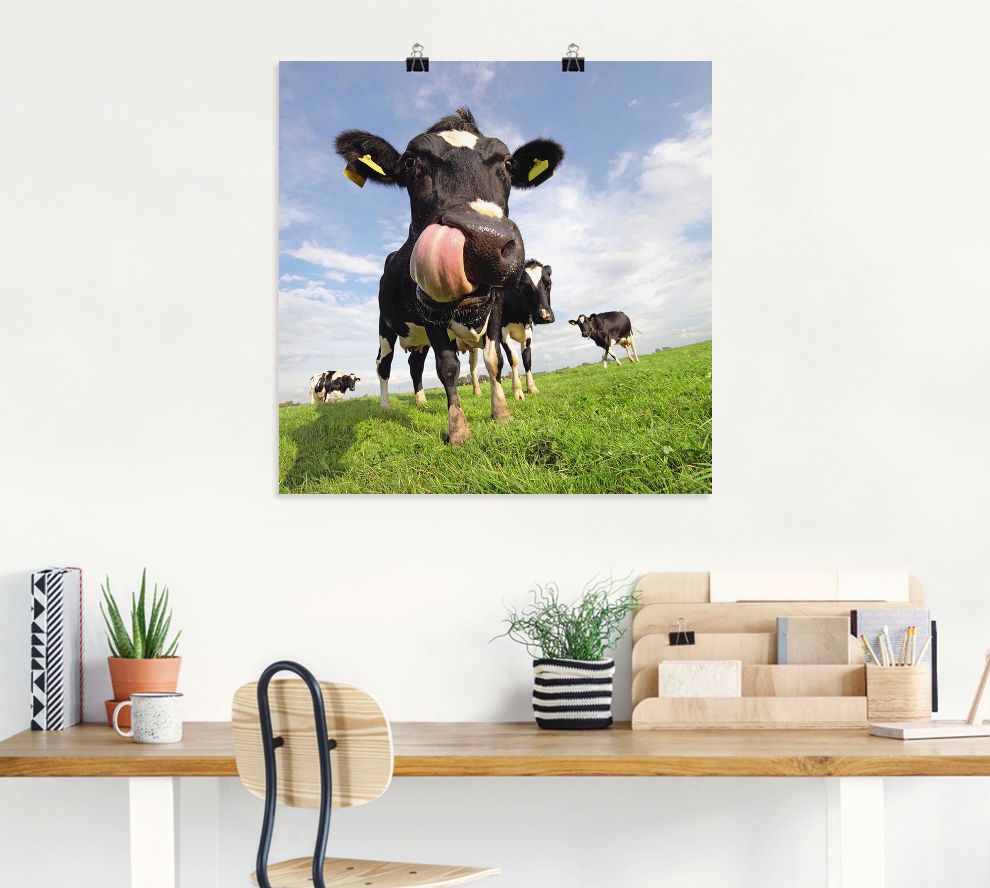 Alubild, Poster St), als Haustiere Wandaufkleber (1 Artland mit Größen Holstein-Kuh gewaltiger Leinwandbild, Wandbild oder Zunge, in versch.