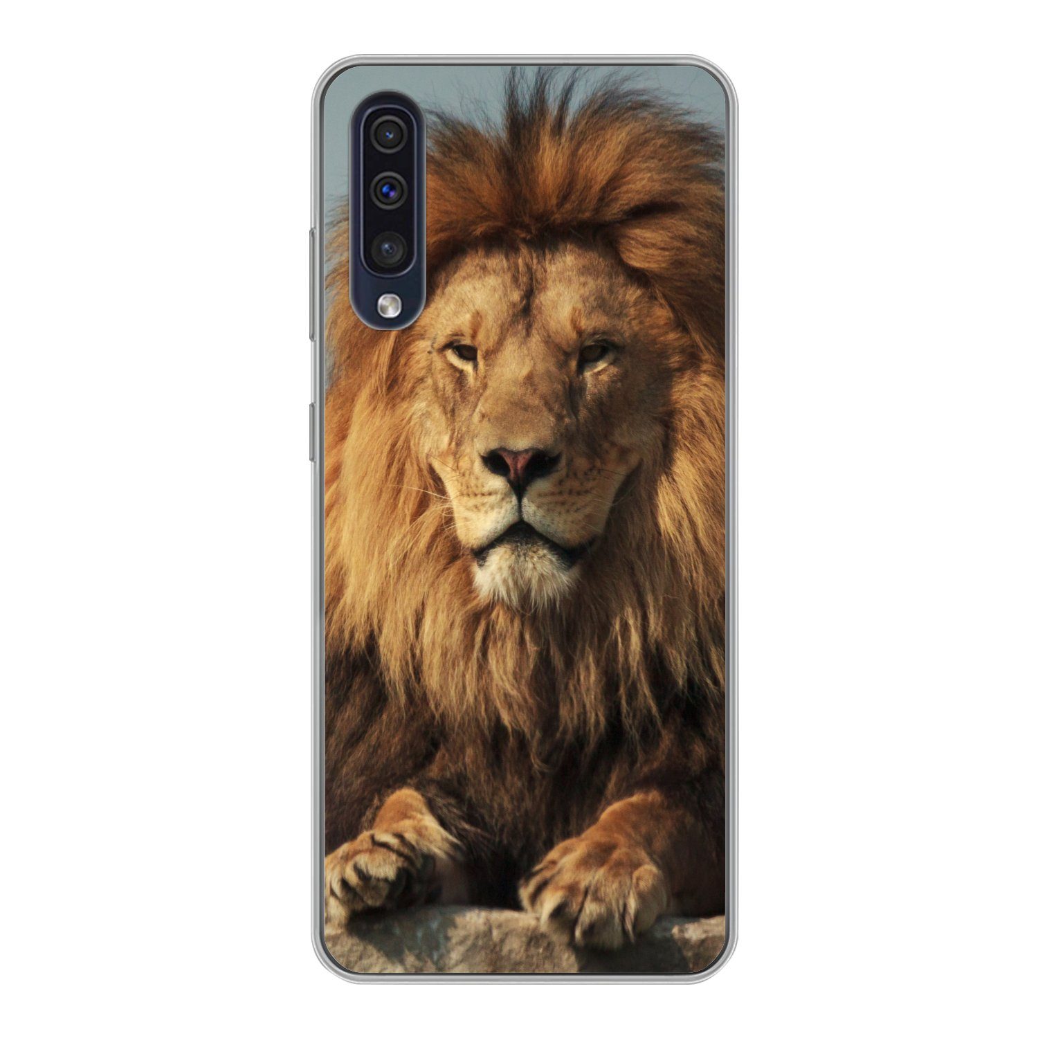 MuchoWow Handyhülle für Samsung Galaxy A30s Löwe - Felsen - Porträt, Smartphone-Bumper, Print, Handy Schutzhülle Dünn